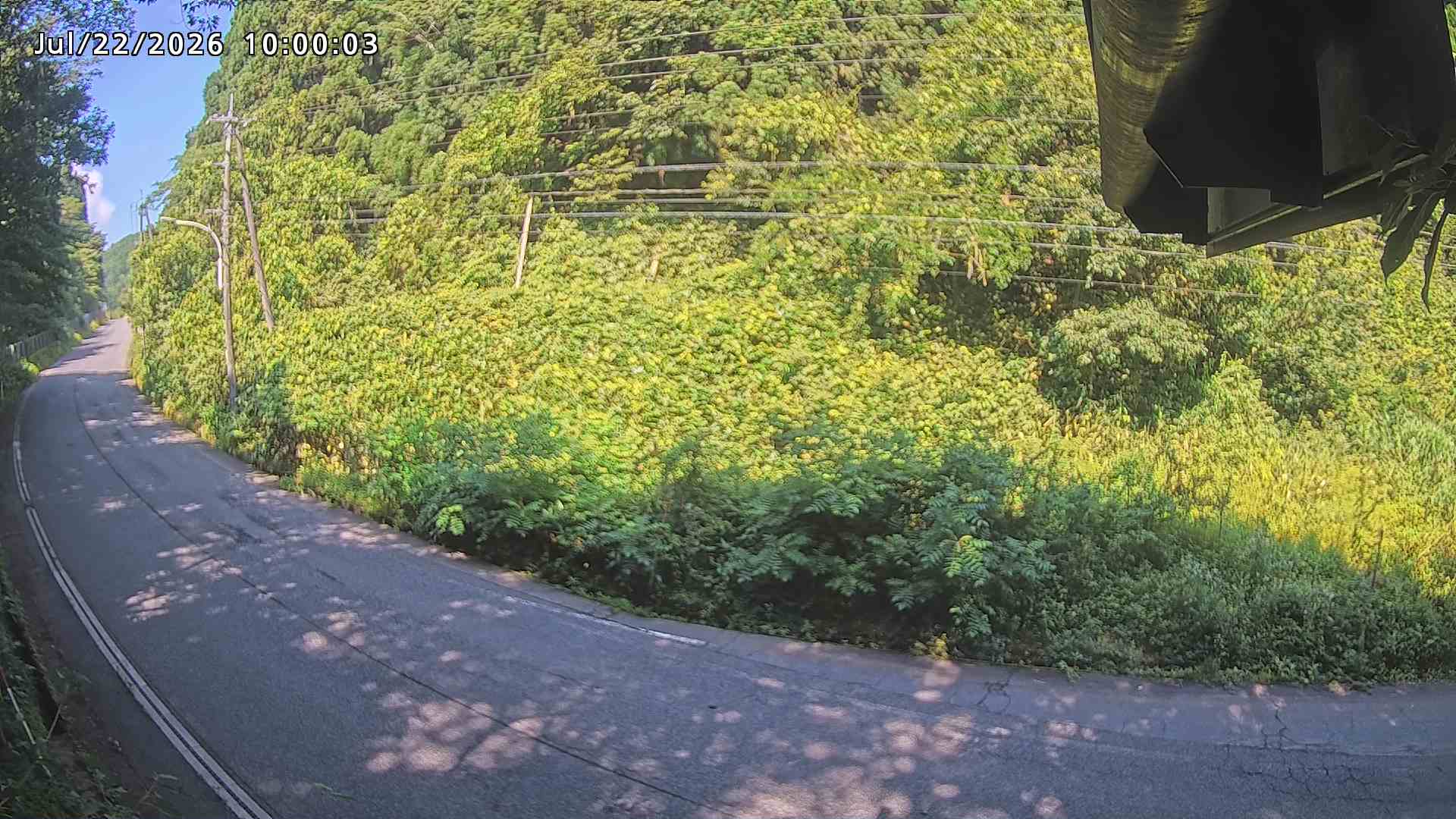 南部町大木屋