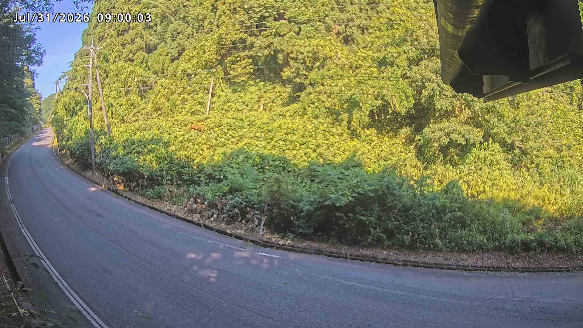 南部町大木屋