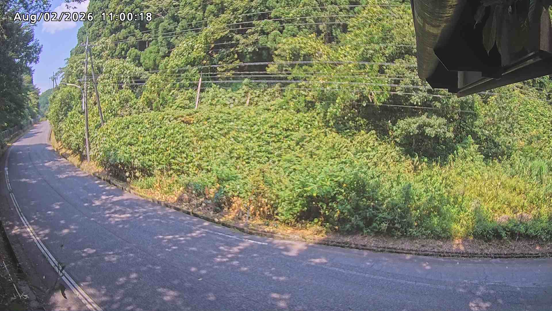 南部町大木屋