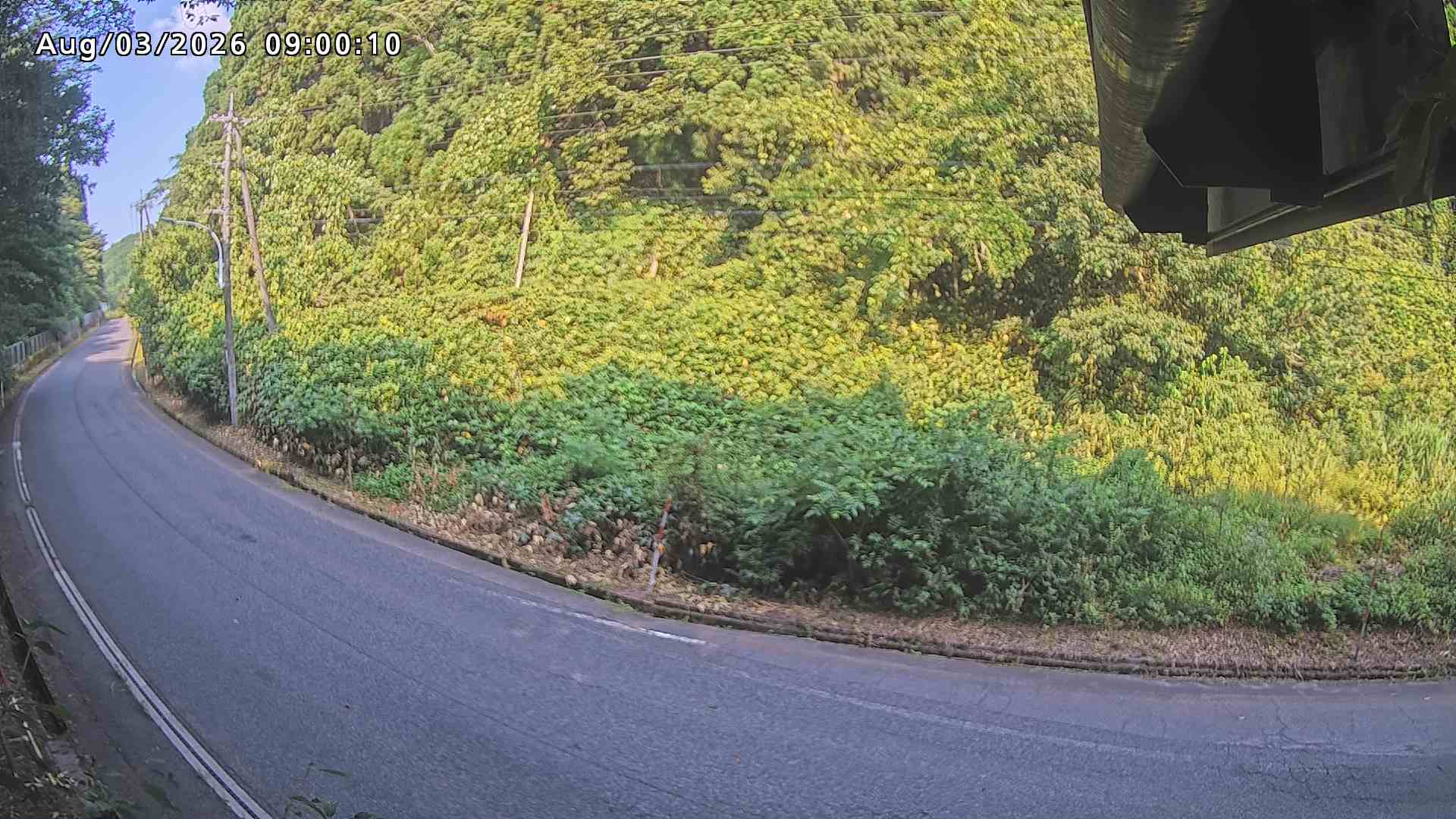 南部町大木屋