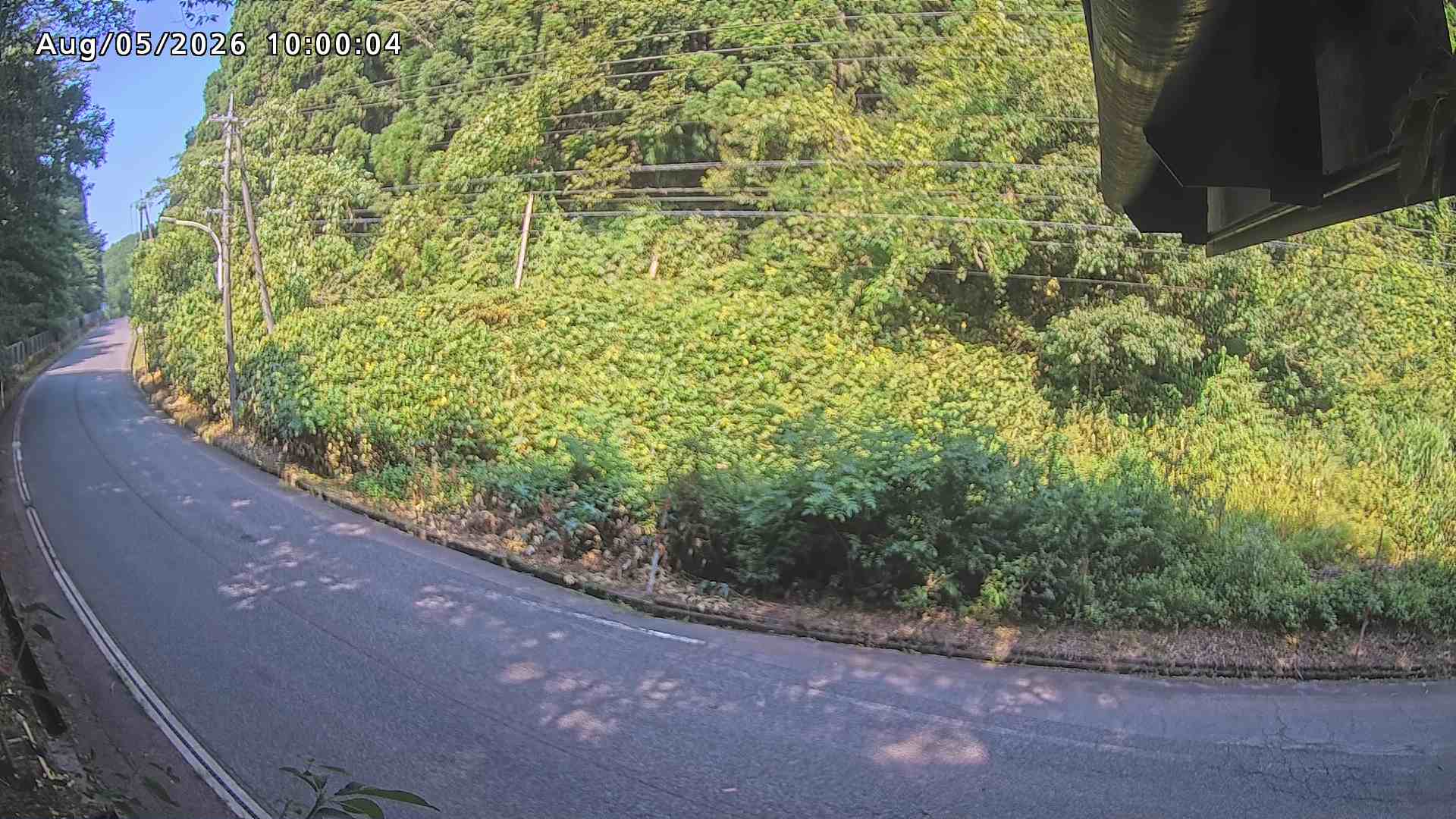 南部町大木屋