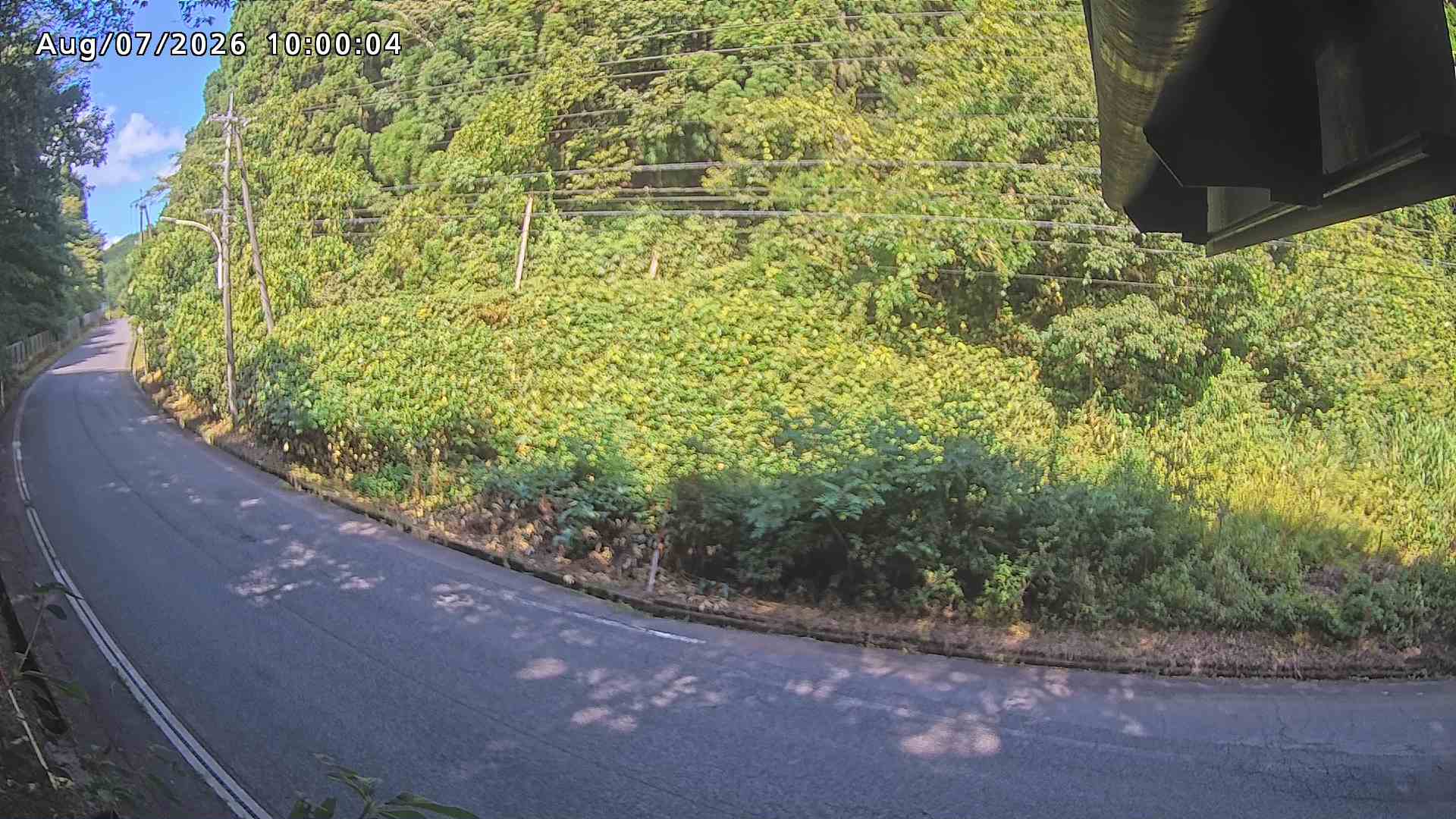 南部町大木屋