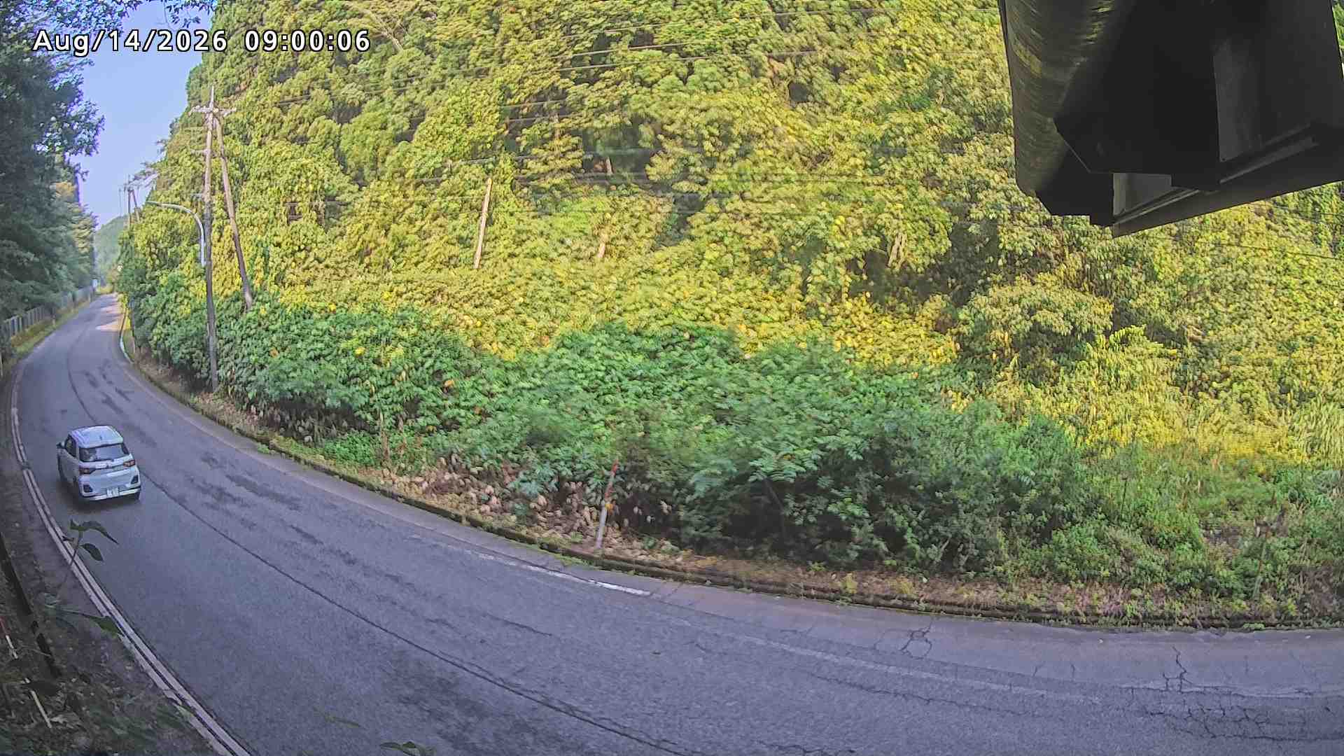 南部町大木屋