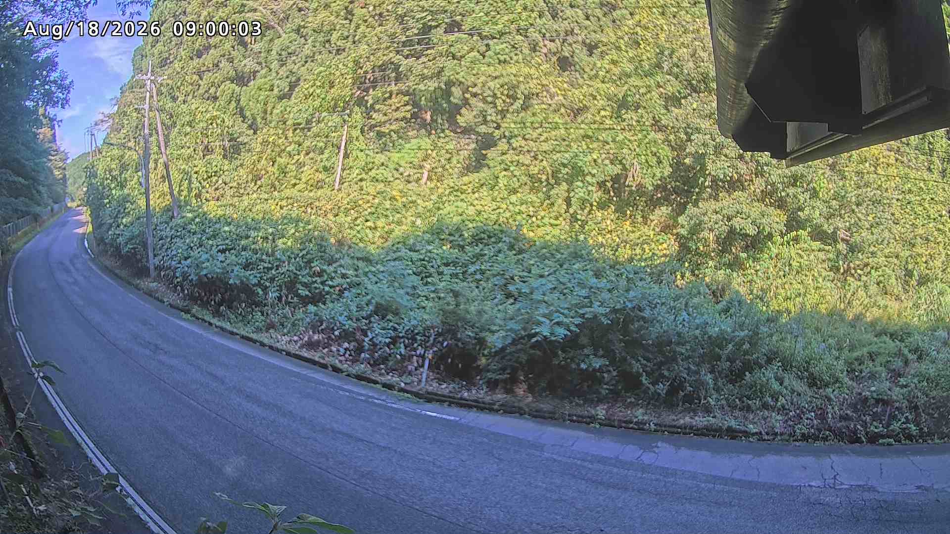南部町大木屋