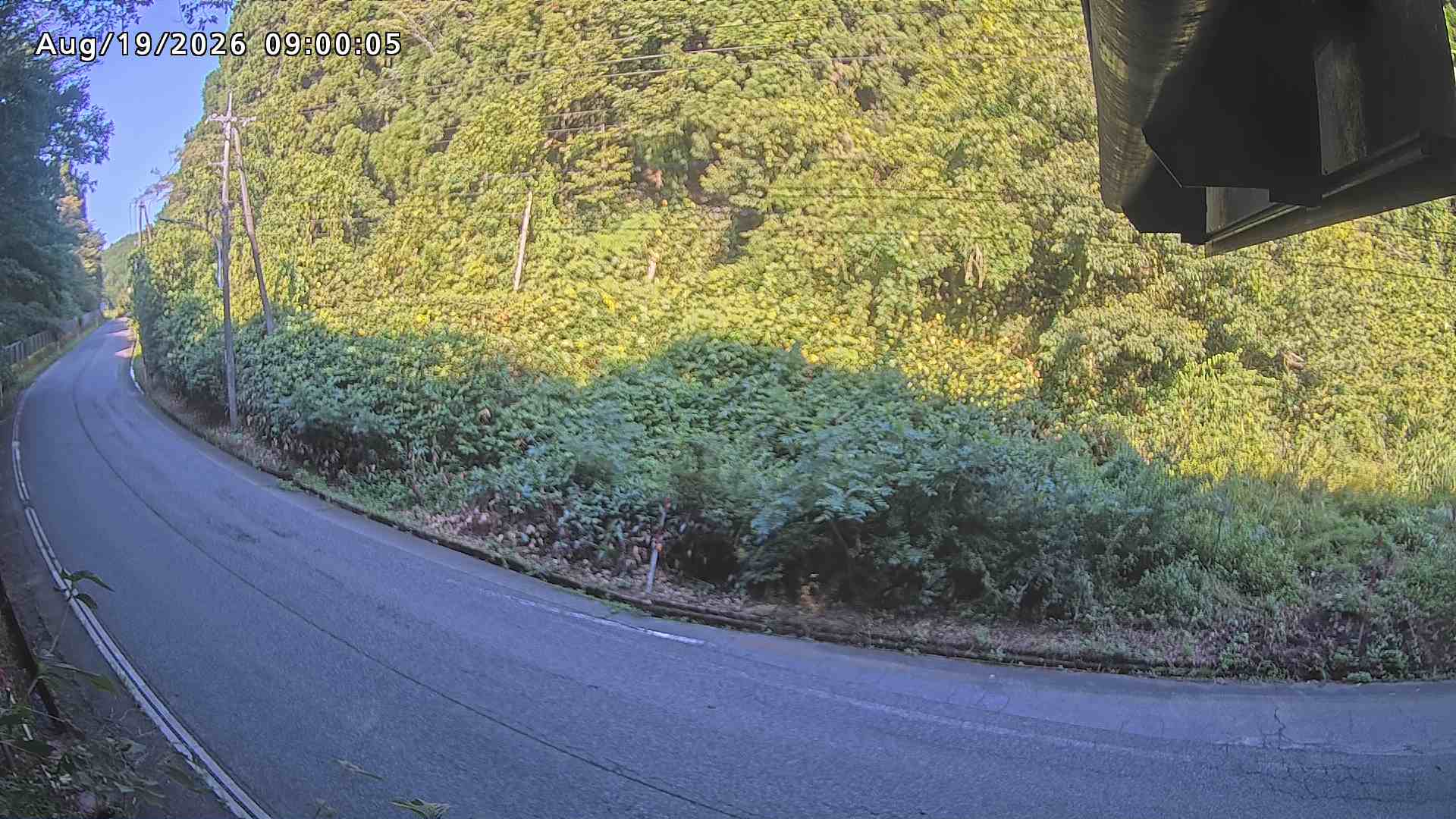 南部町大木屋