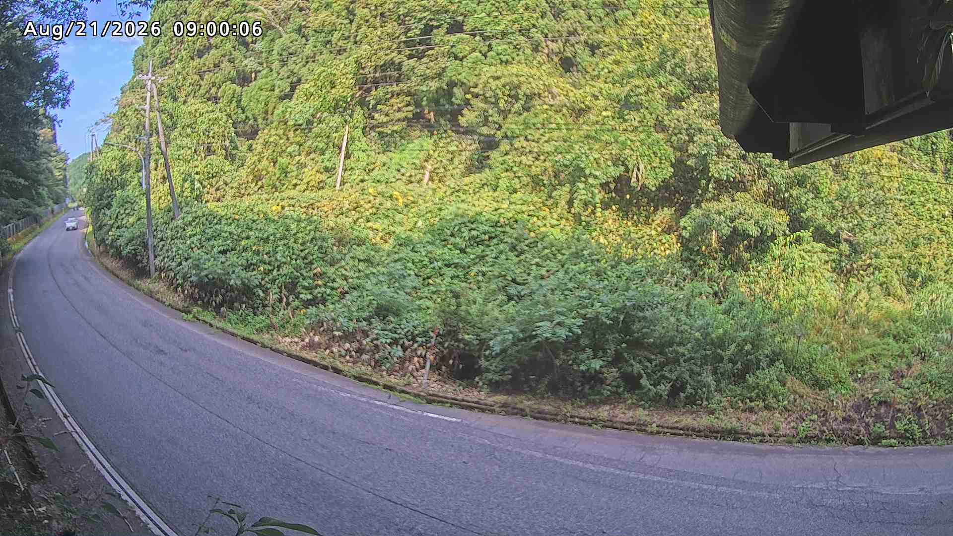南部町大木屋