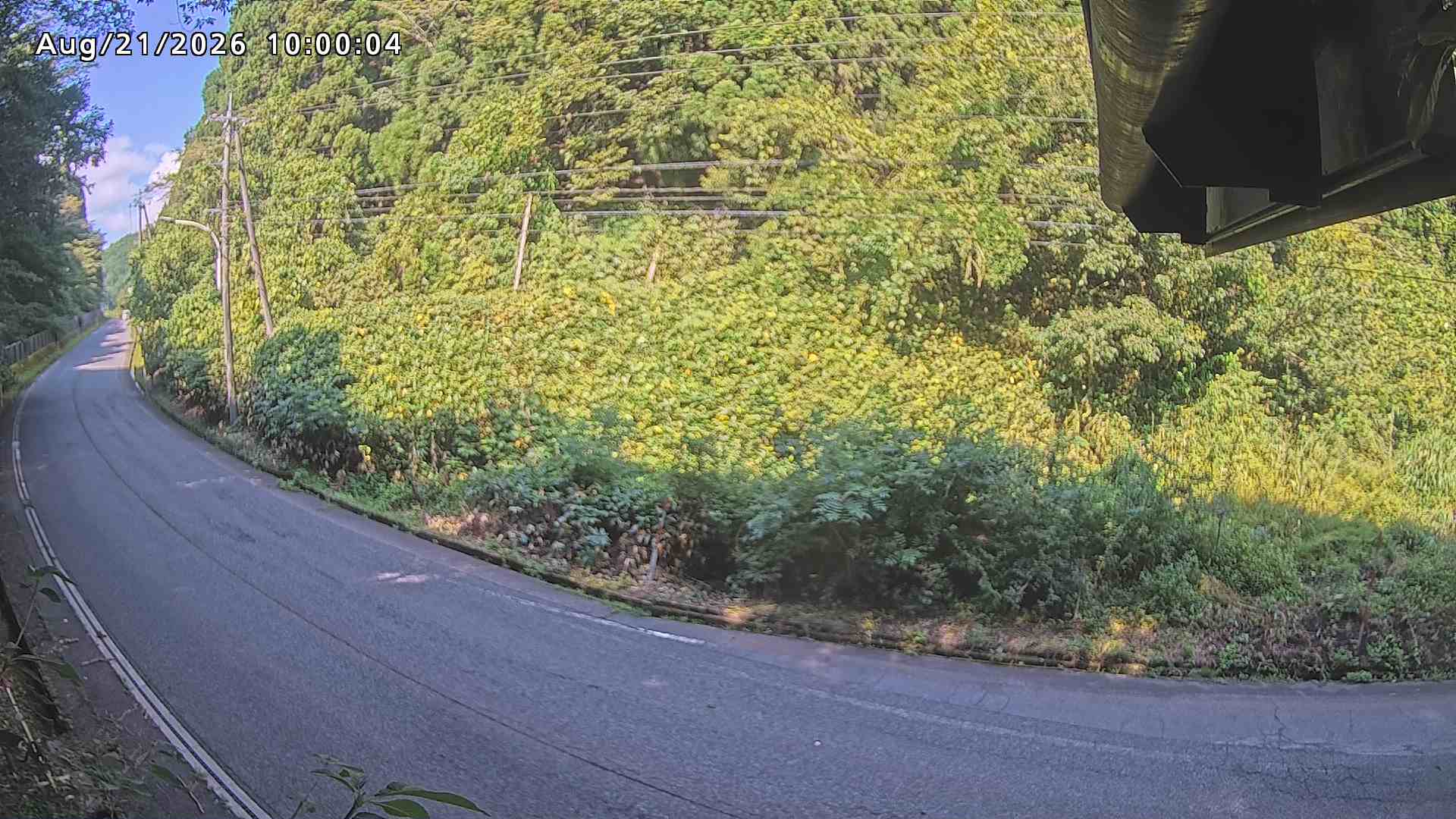 南部町大木屋