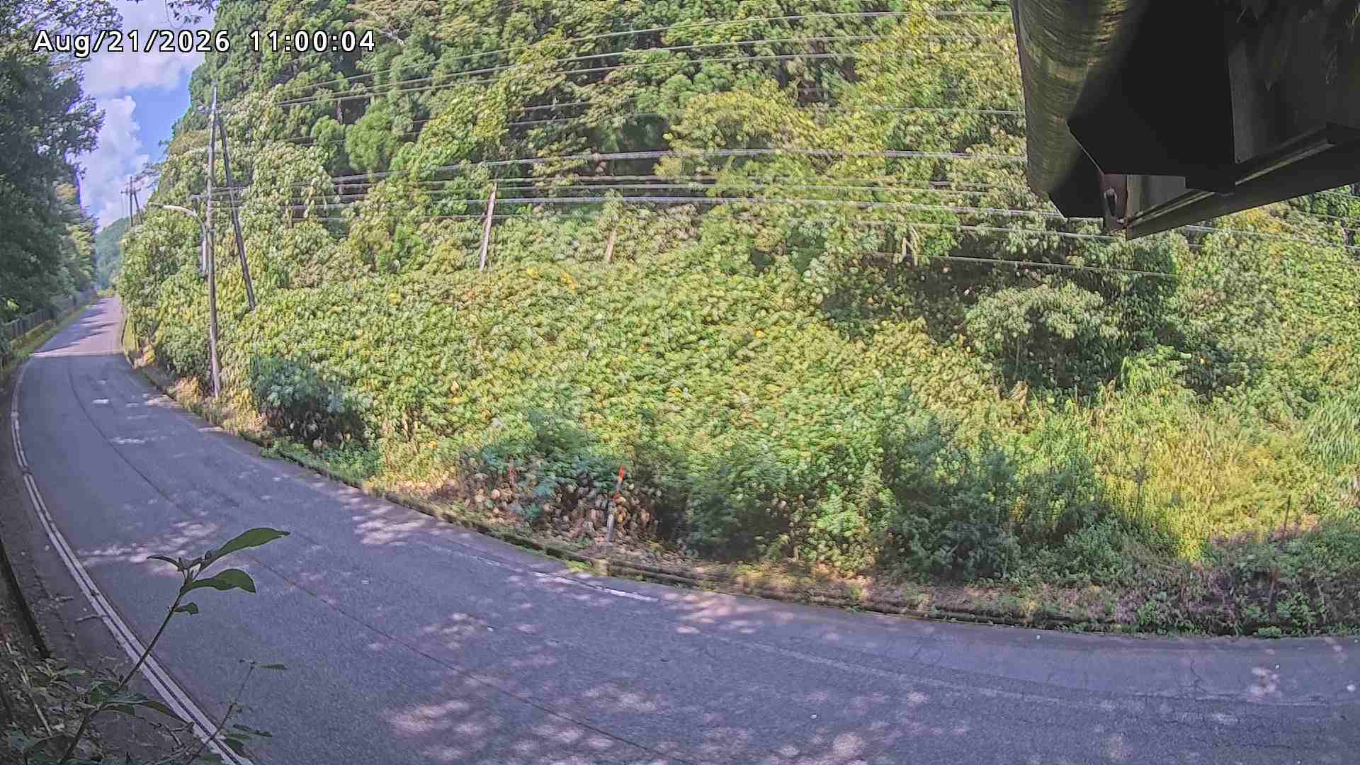 南部町大木屋