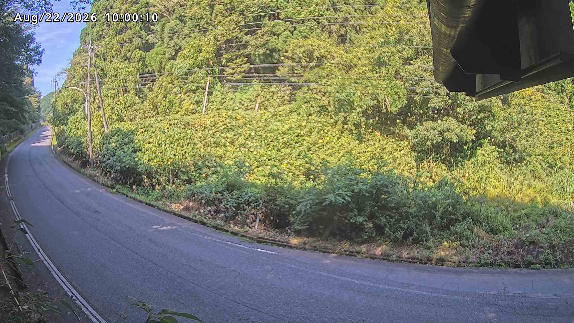 南部町大木屋