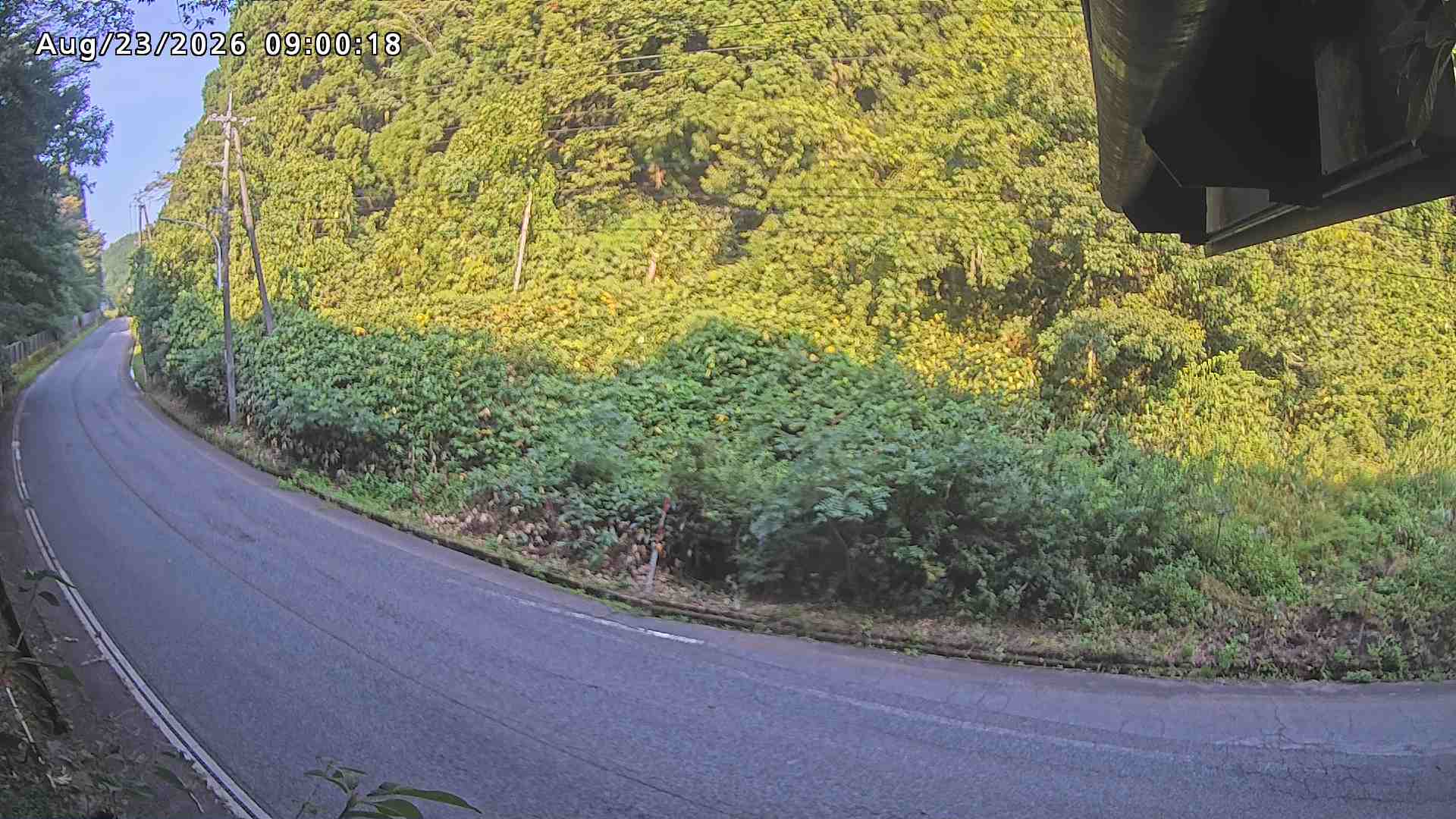 南部町大木屋