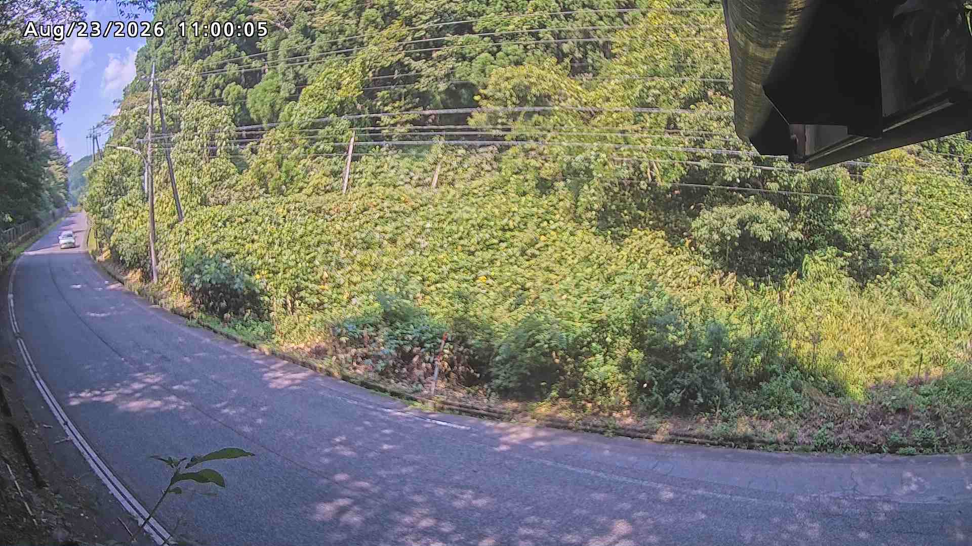 南部町大木屋