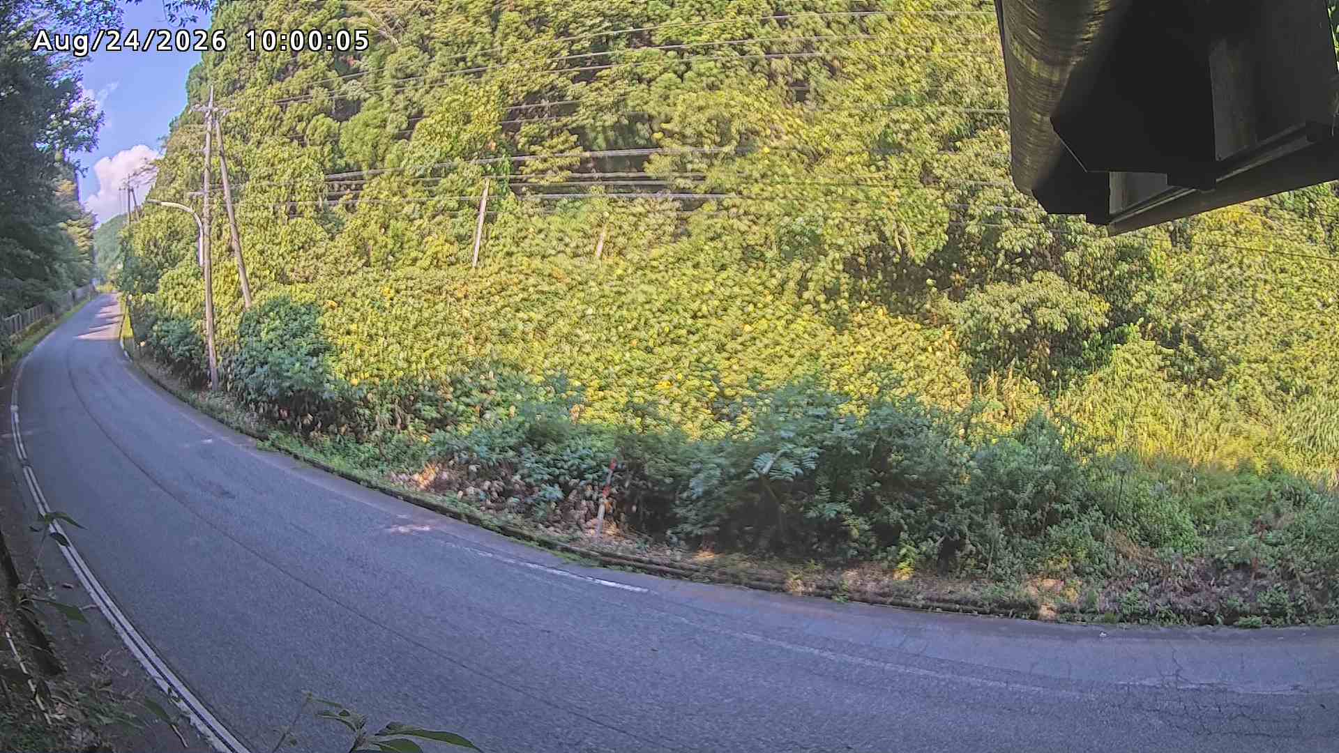 南部町大木屋