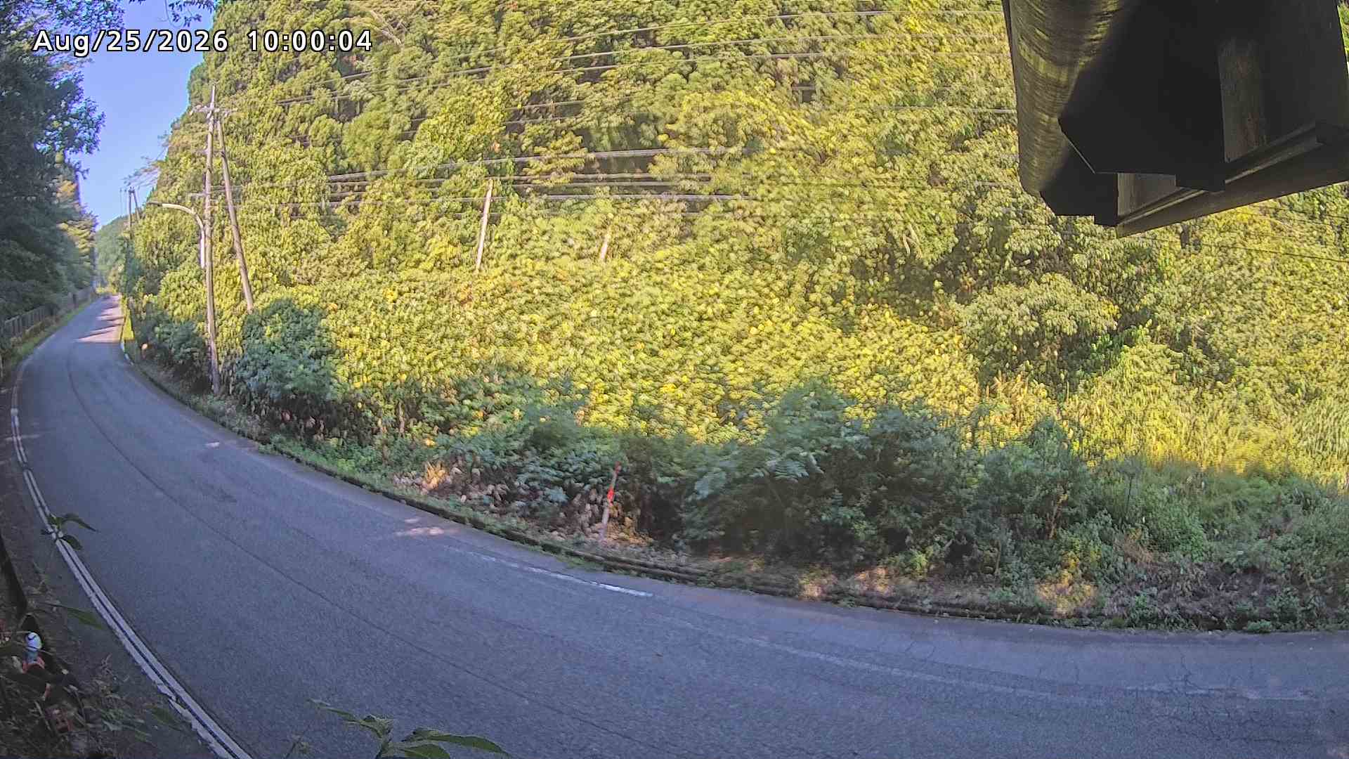 南部町大木屋