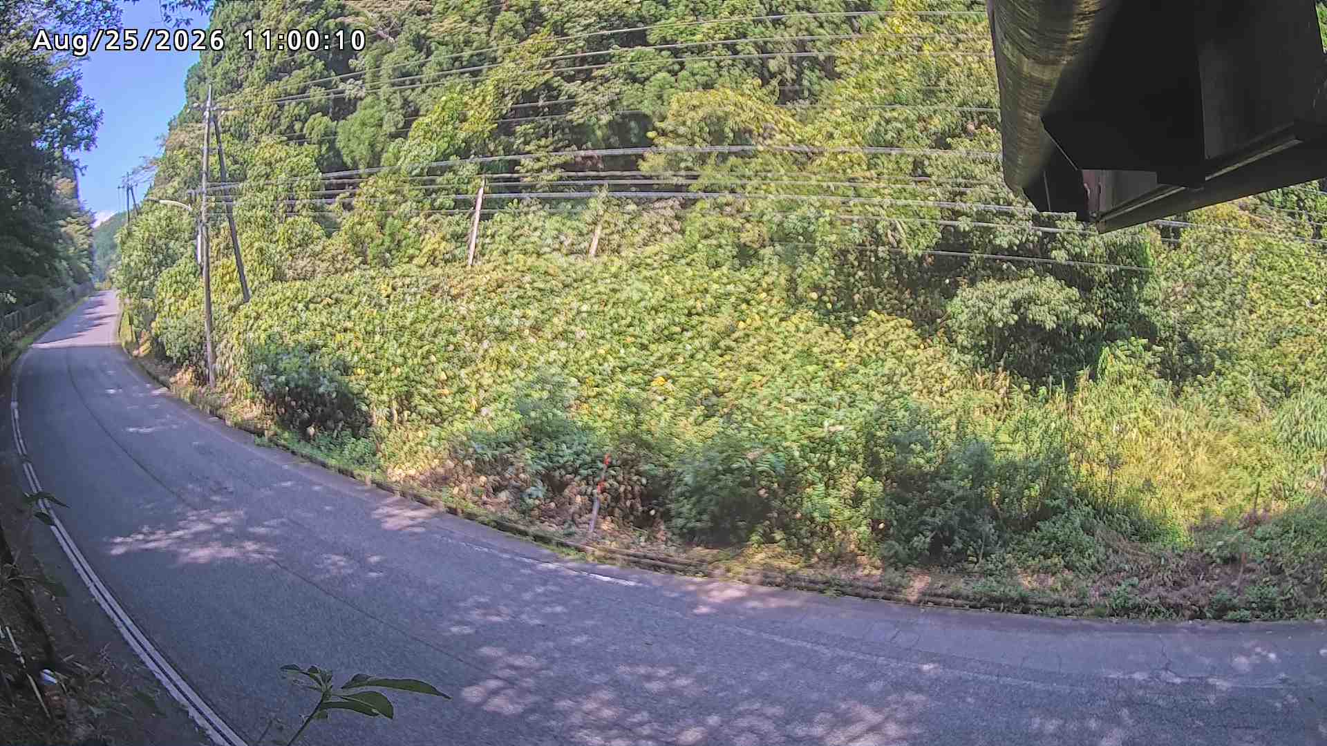 南部町大木屋