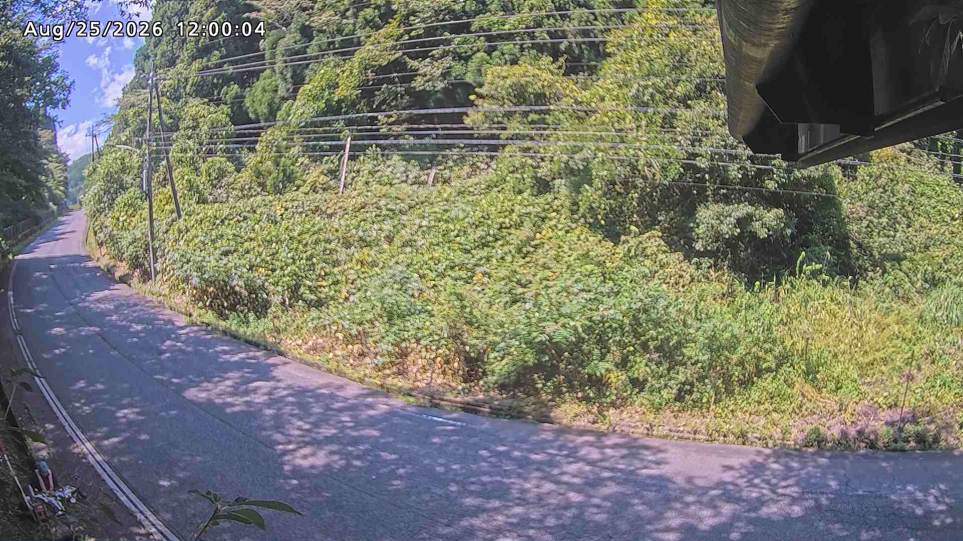 南部町大木屋