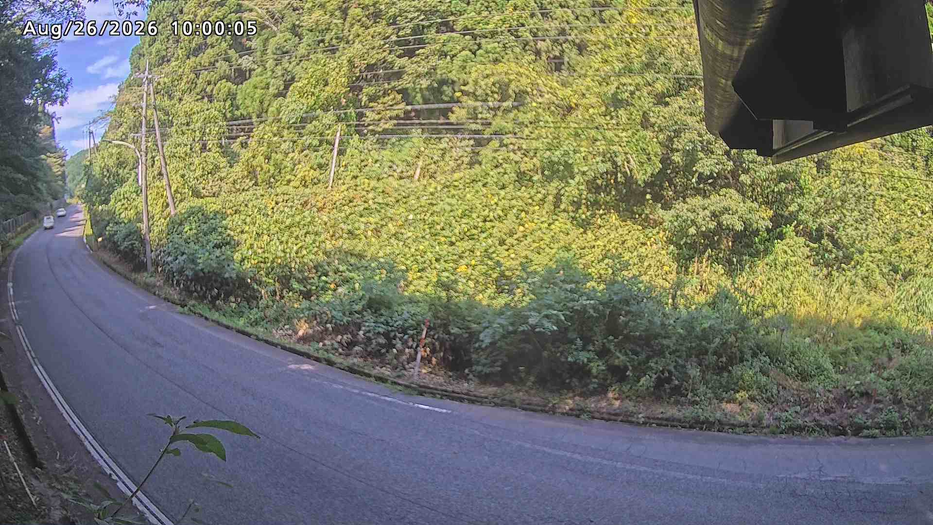 南部町大木屋