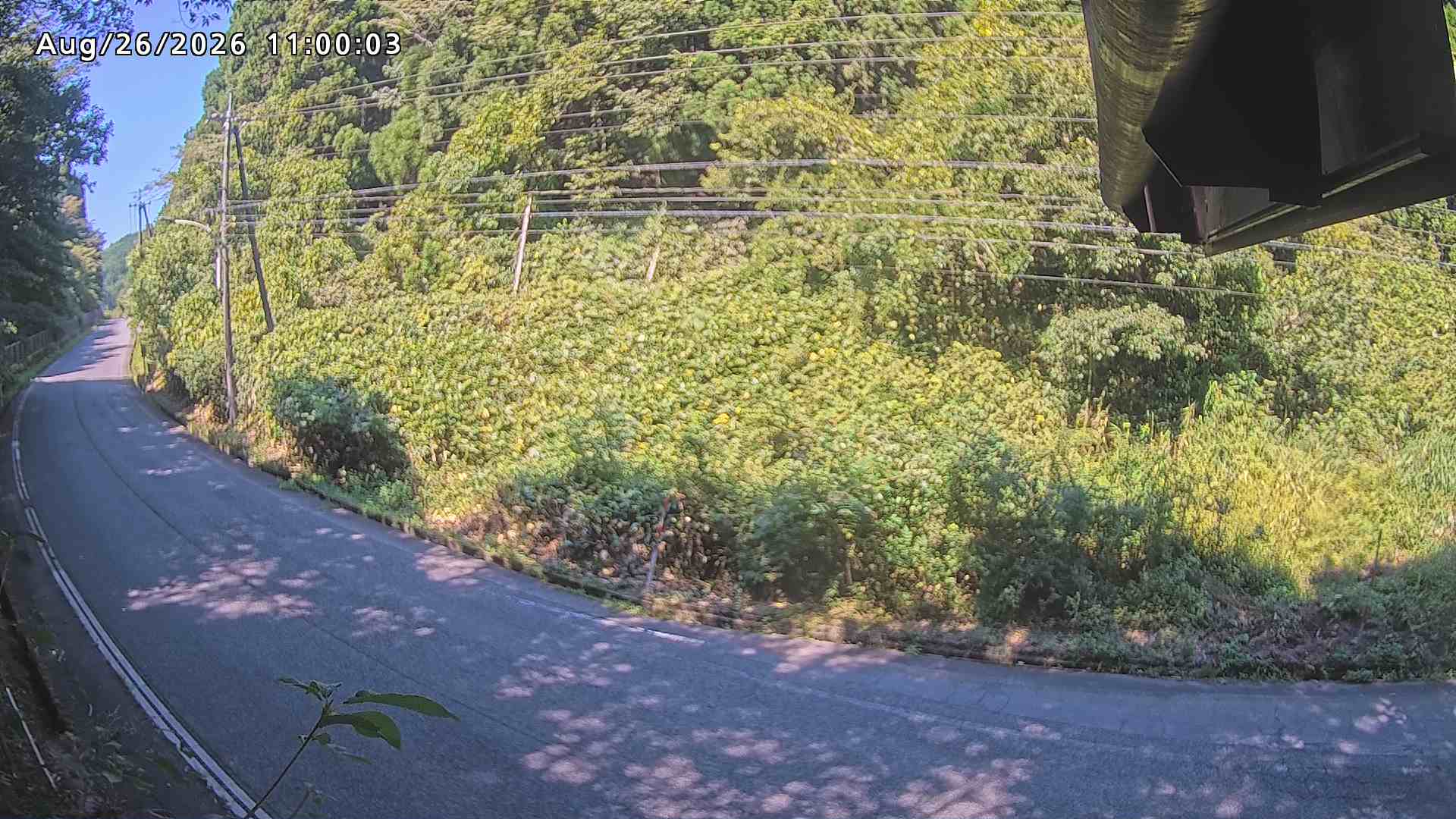 南部町大木屋