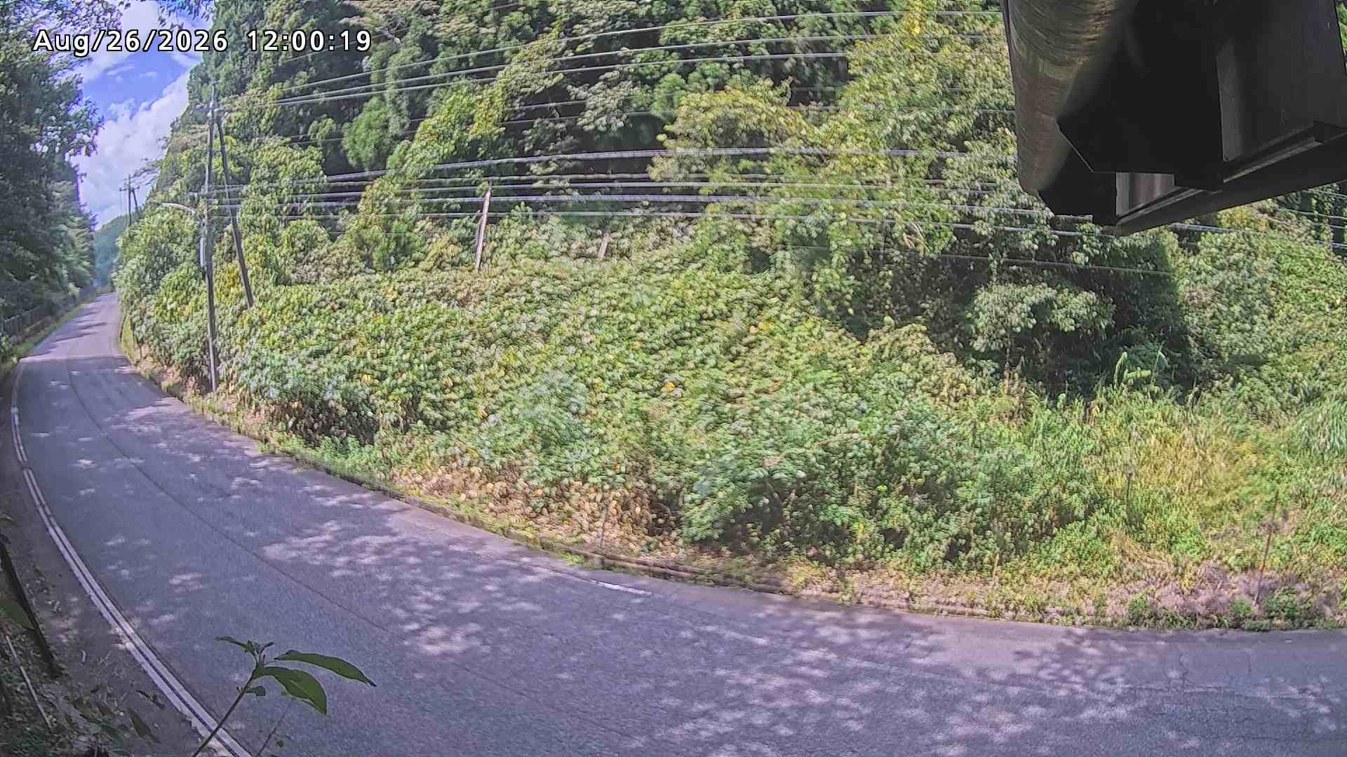 南部町大木屋