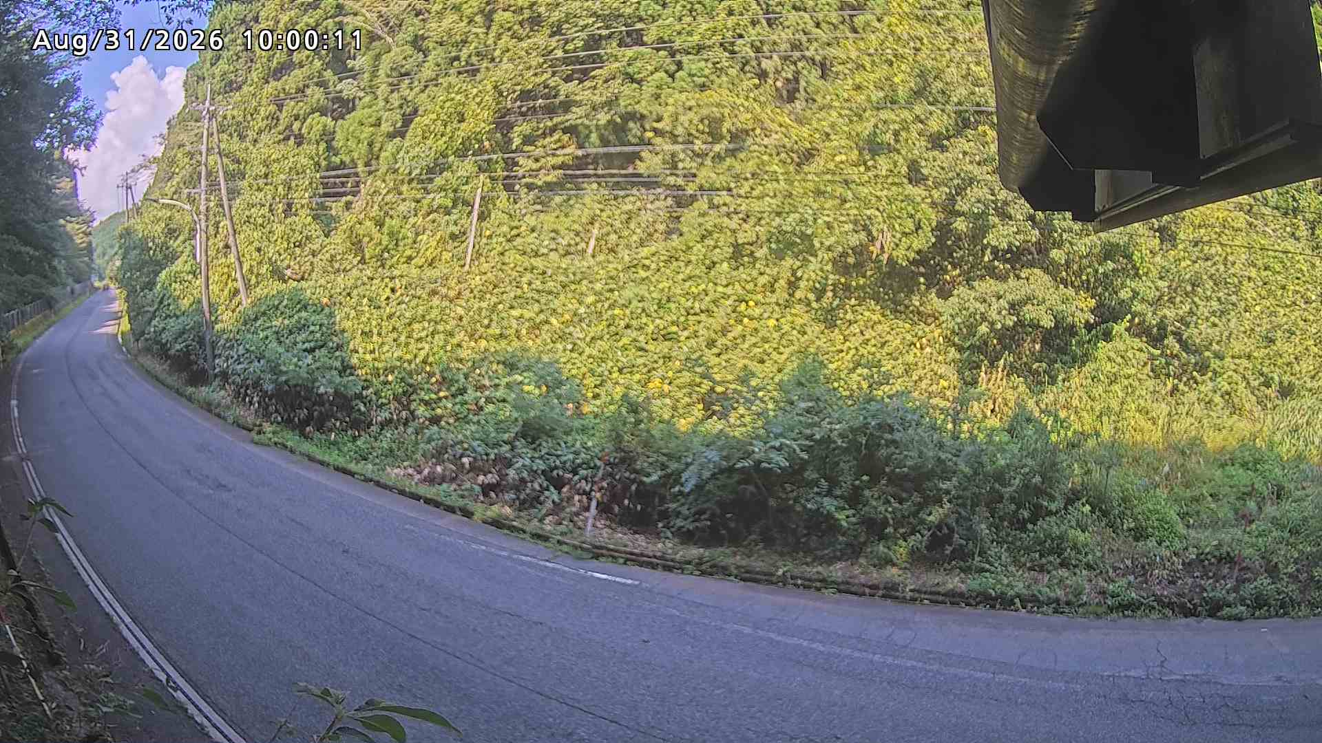 南部町大木屋