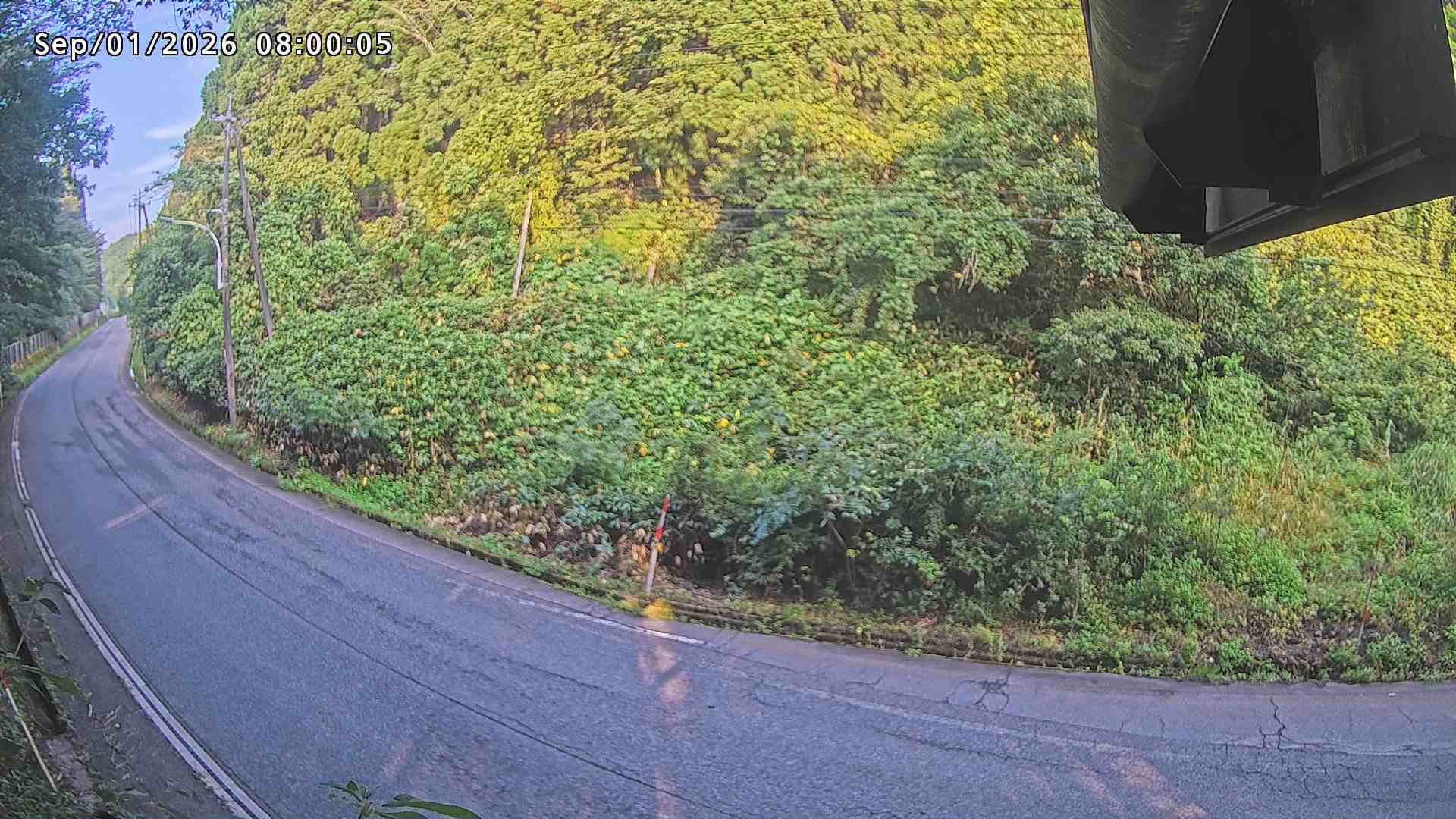 南部町大木屋