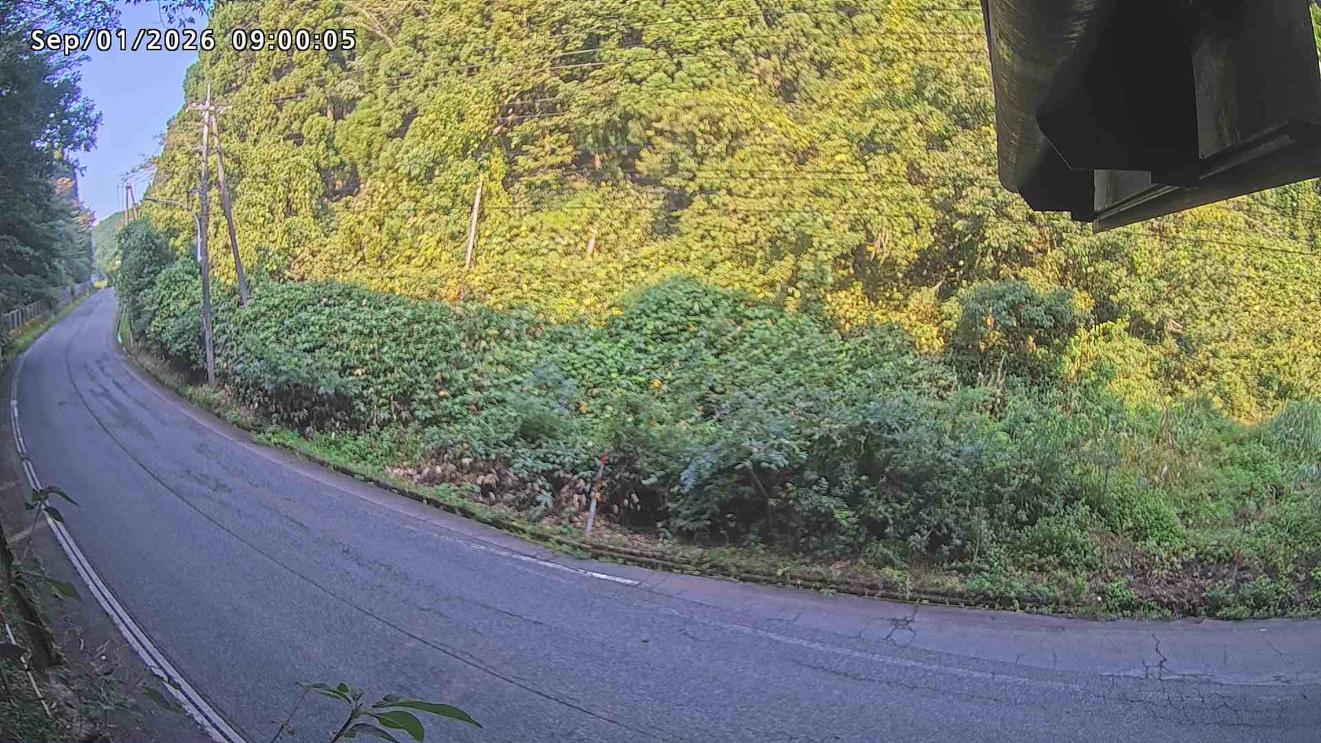 南部町大木屋