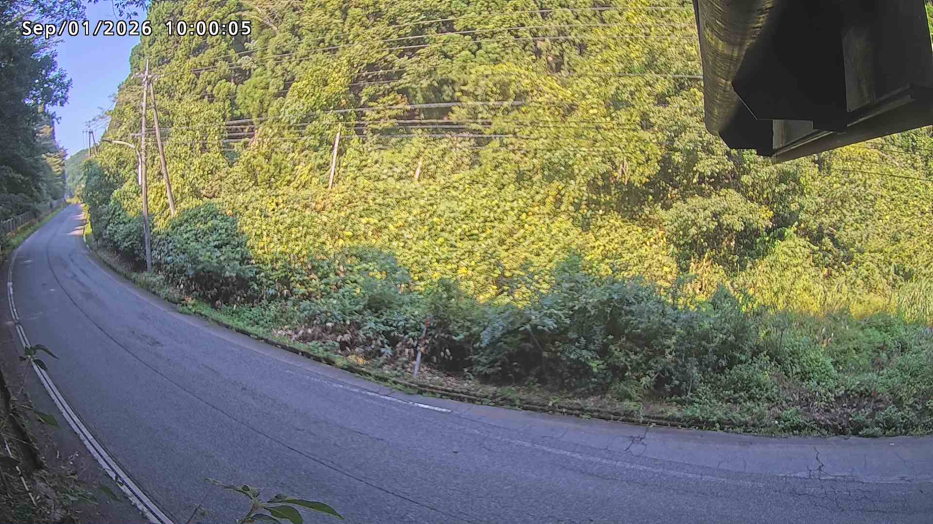 南部町大木屋