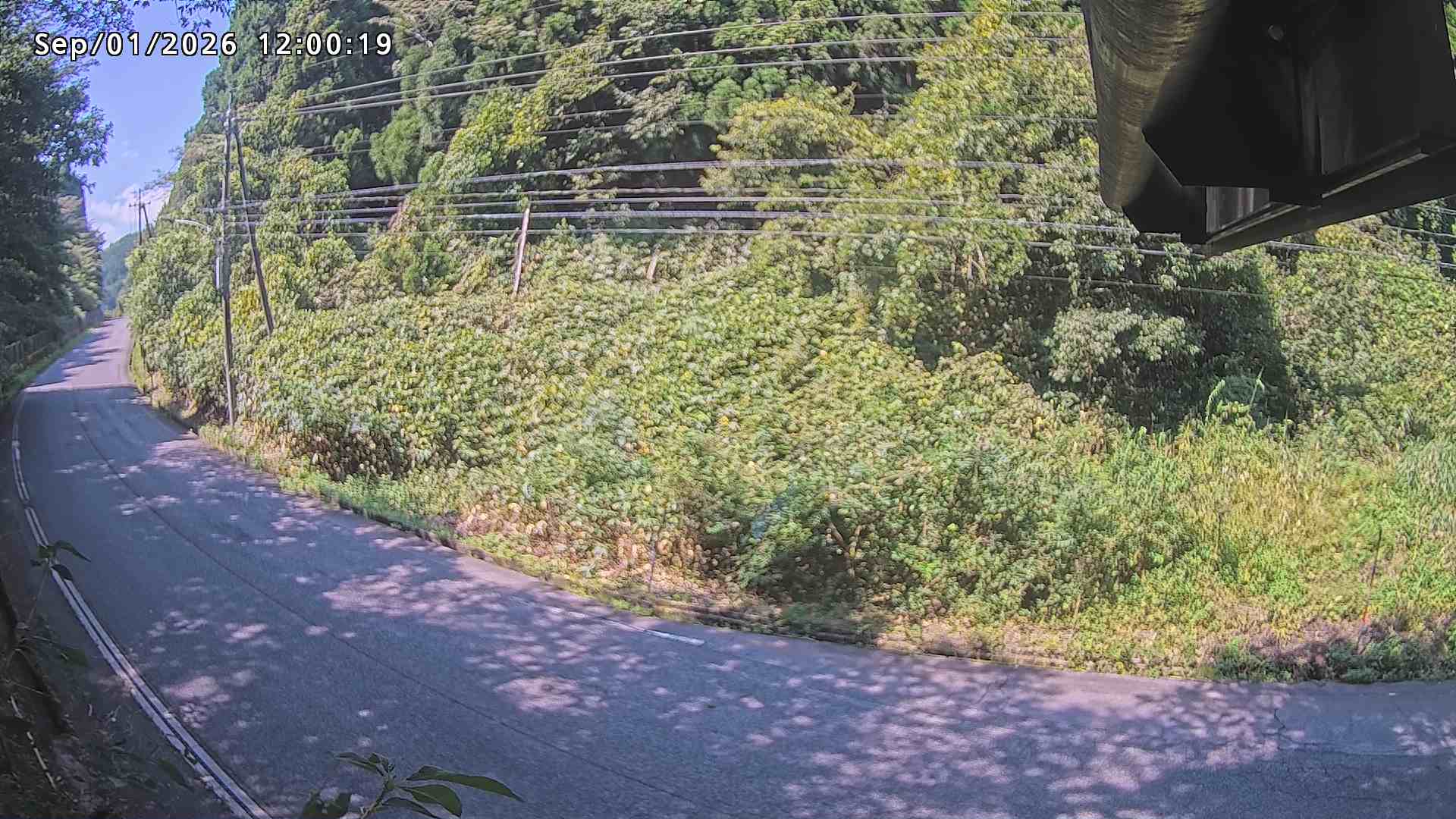 南部町大木屋