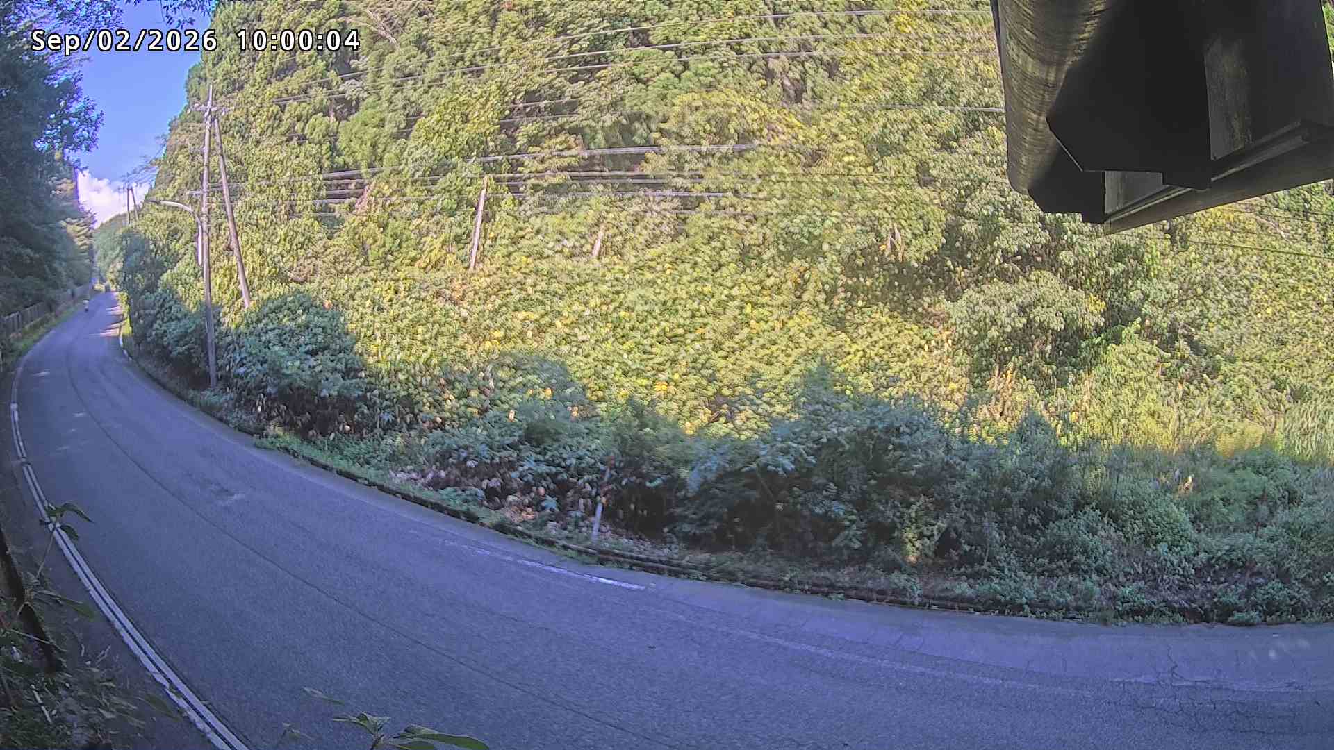 南部町大木屋