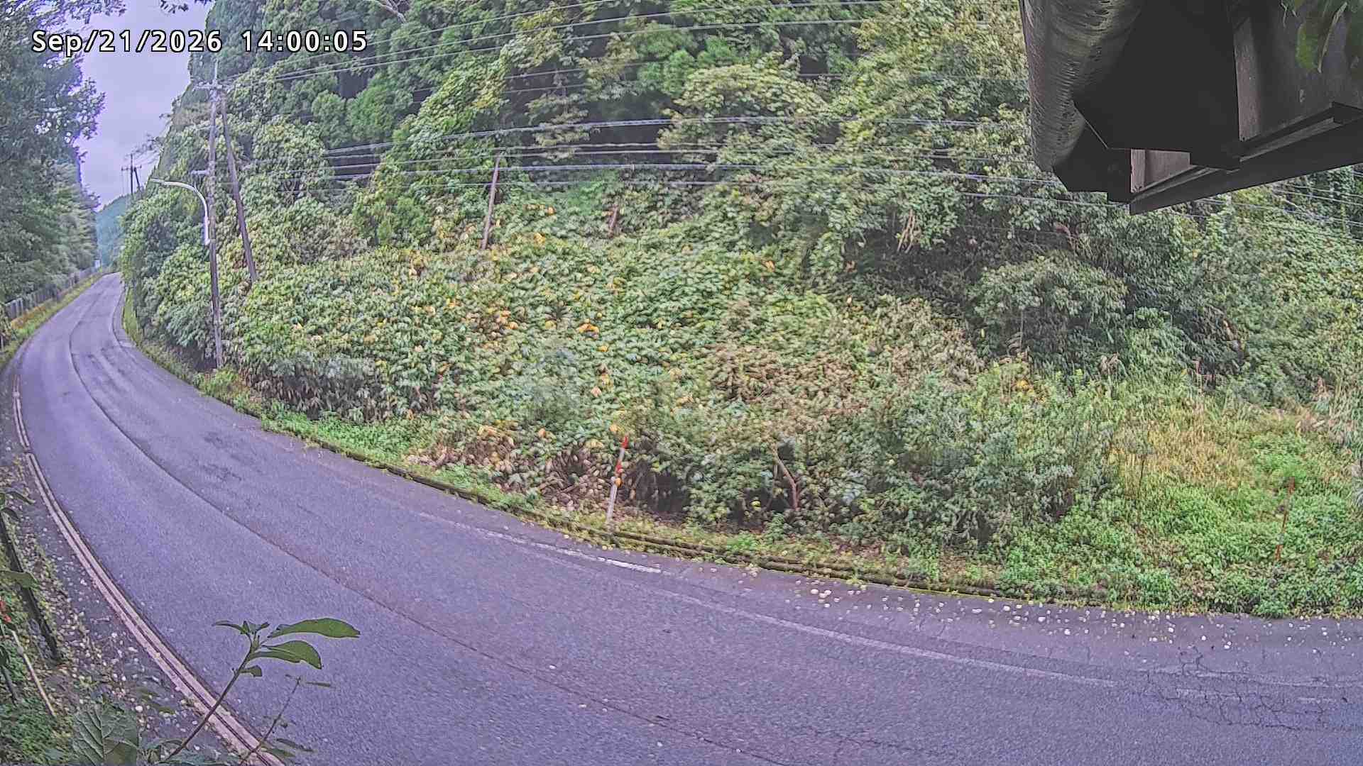 南部町大木屋