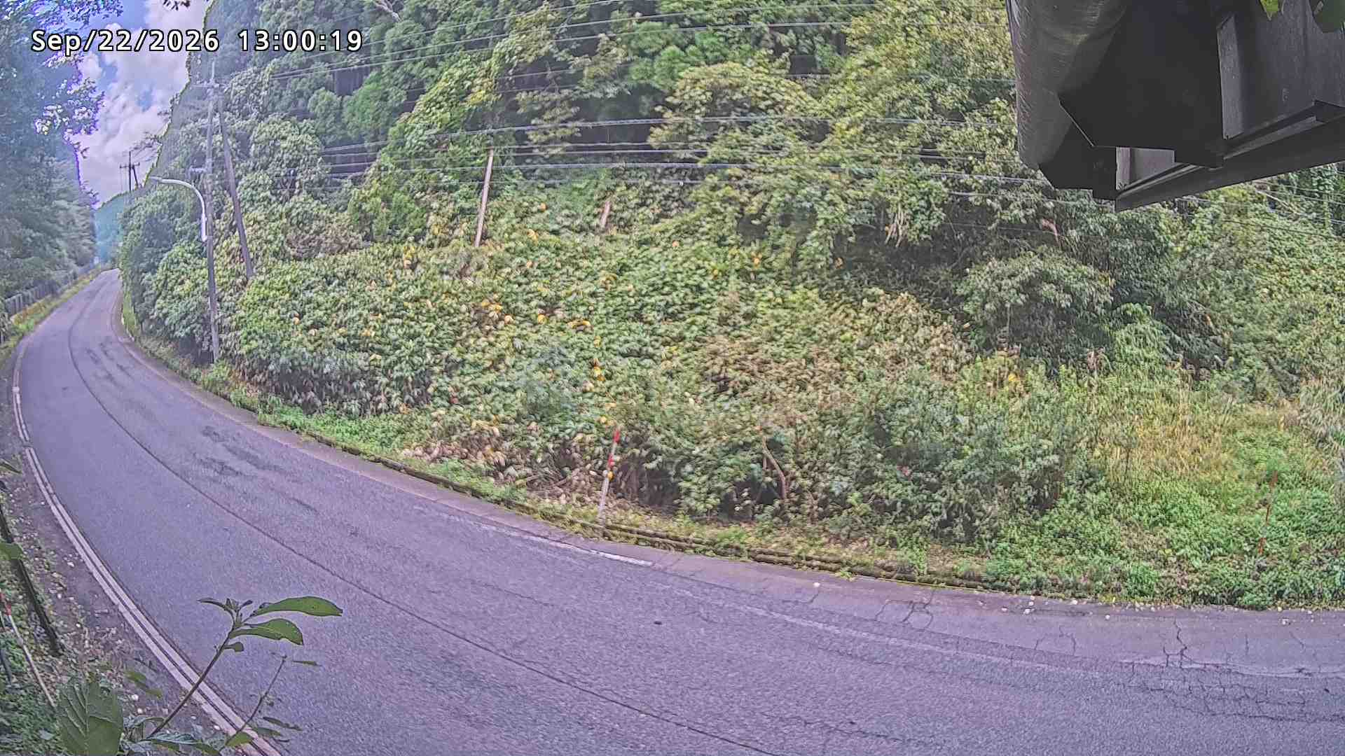 南部町大木屋