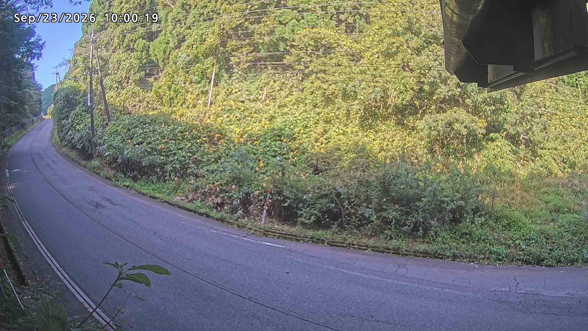 南部町大木屋