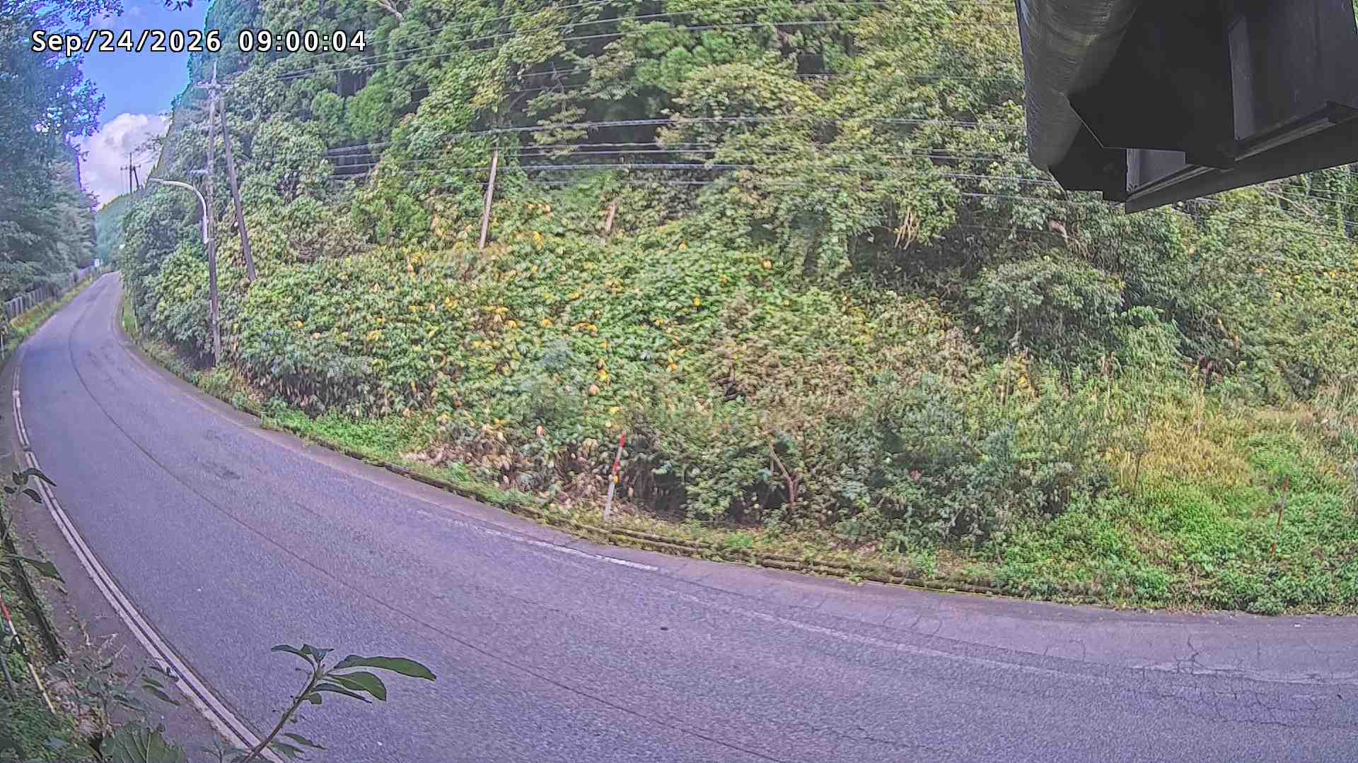 南部町大木屋