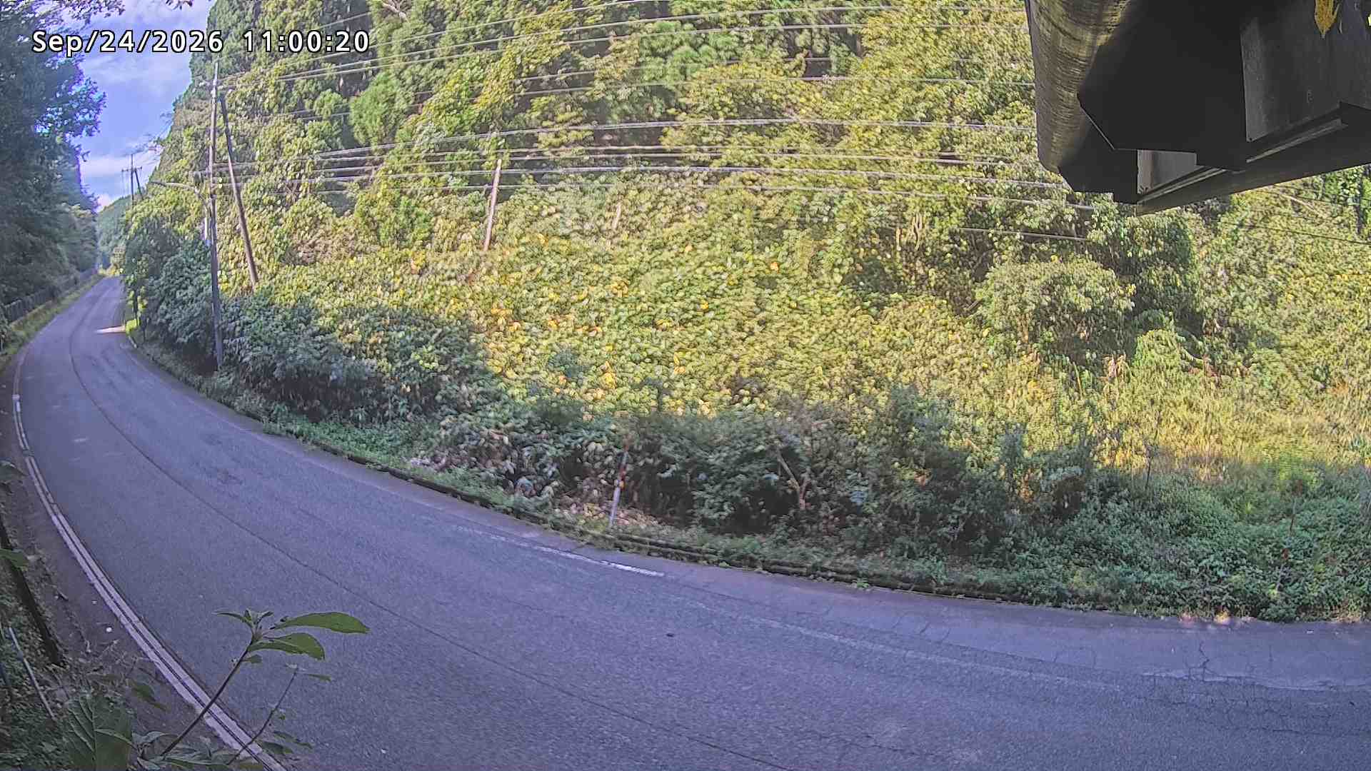 南部町大木屋
