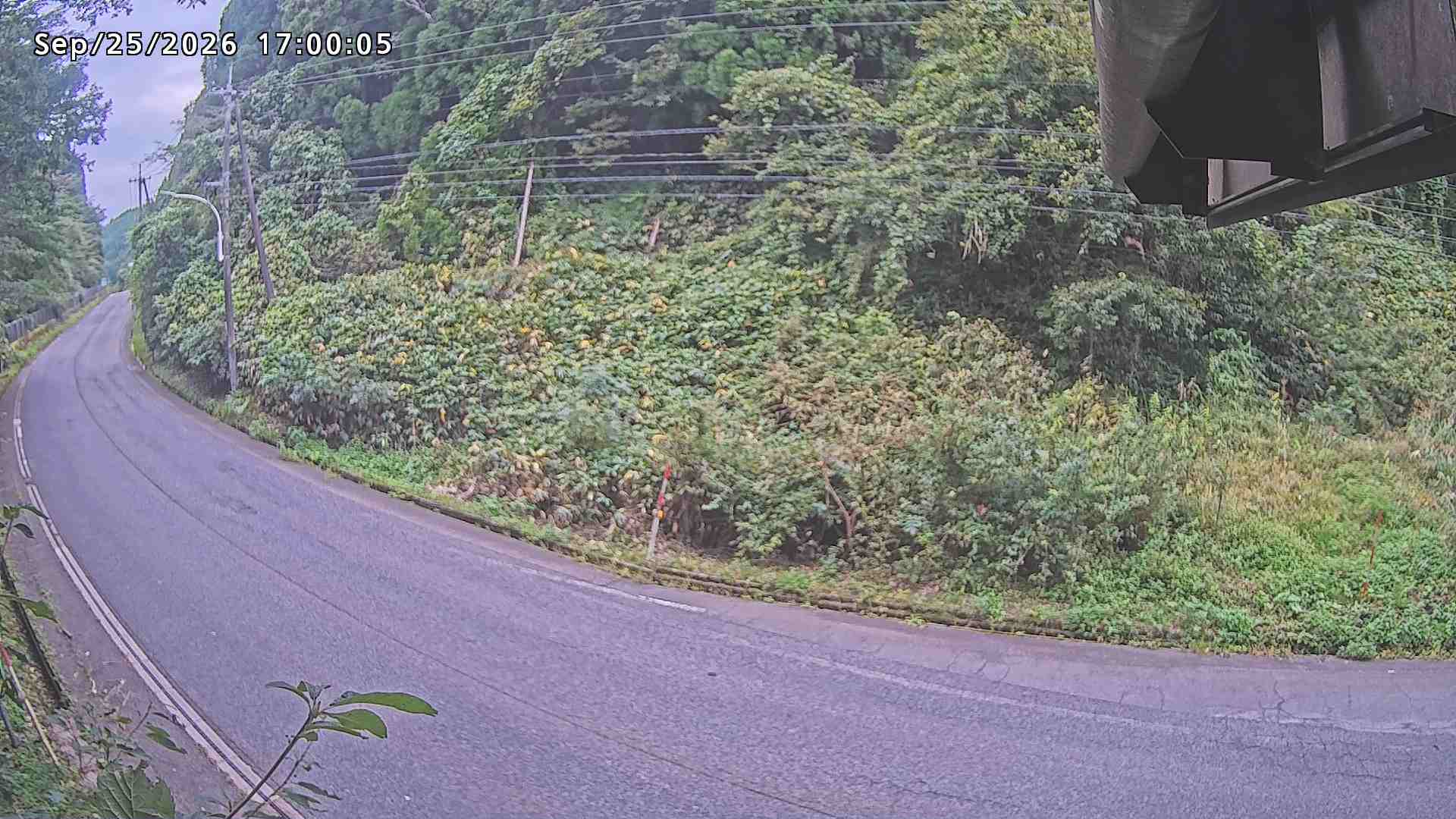 南部町大木屋