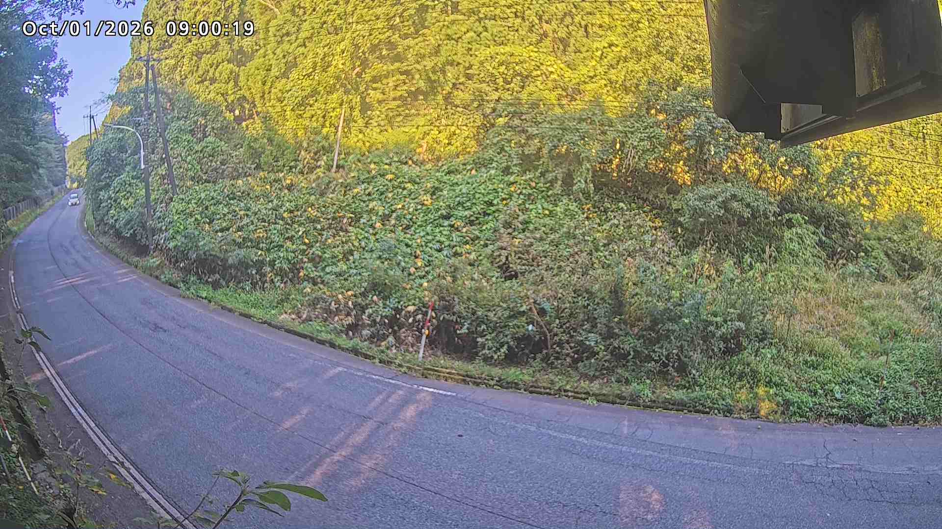 南部町大木屋