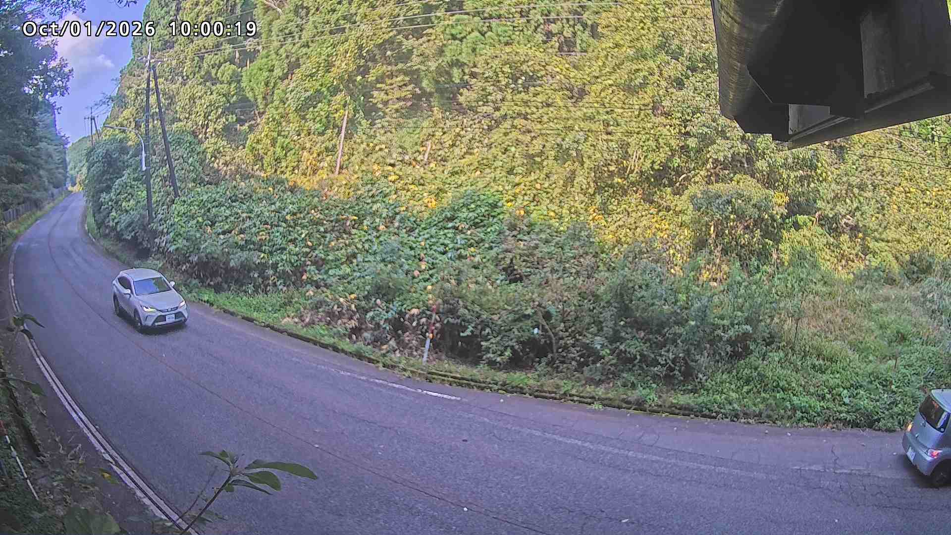 南部町大木屋