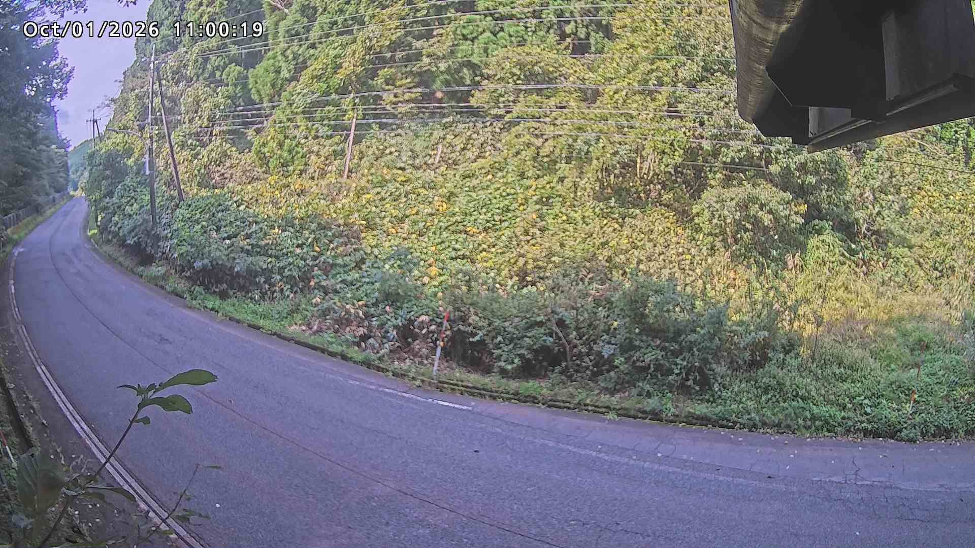 南部町大木屋