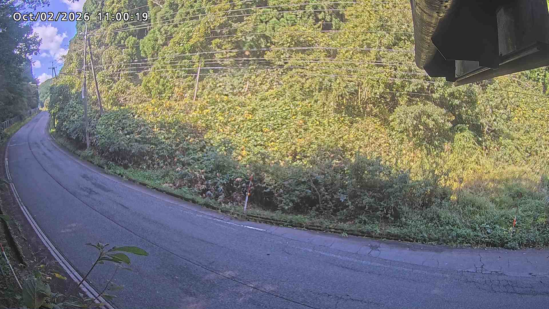 南部町大木屋