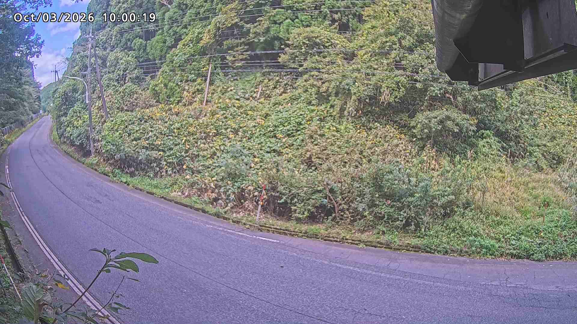 南部町大木屋
