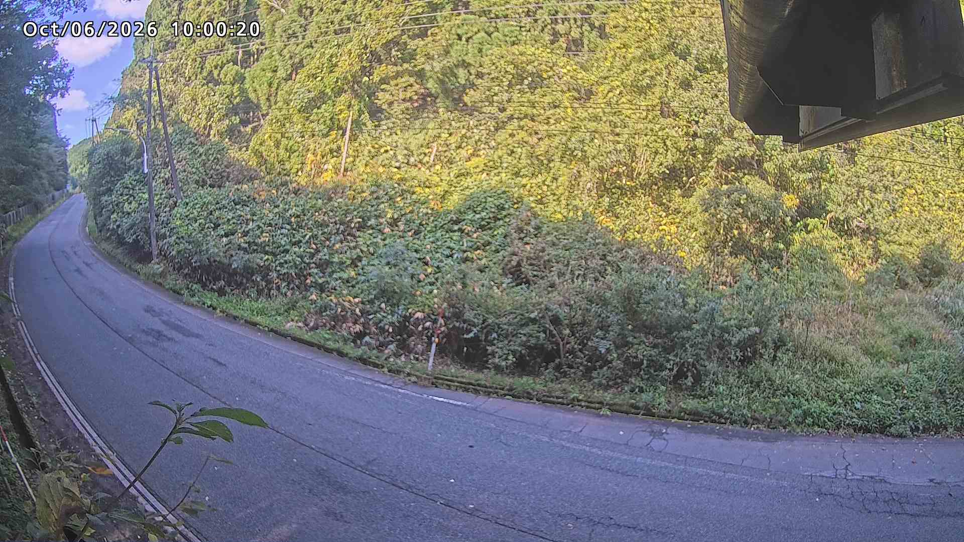 南部町大木屋