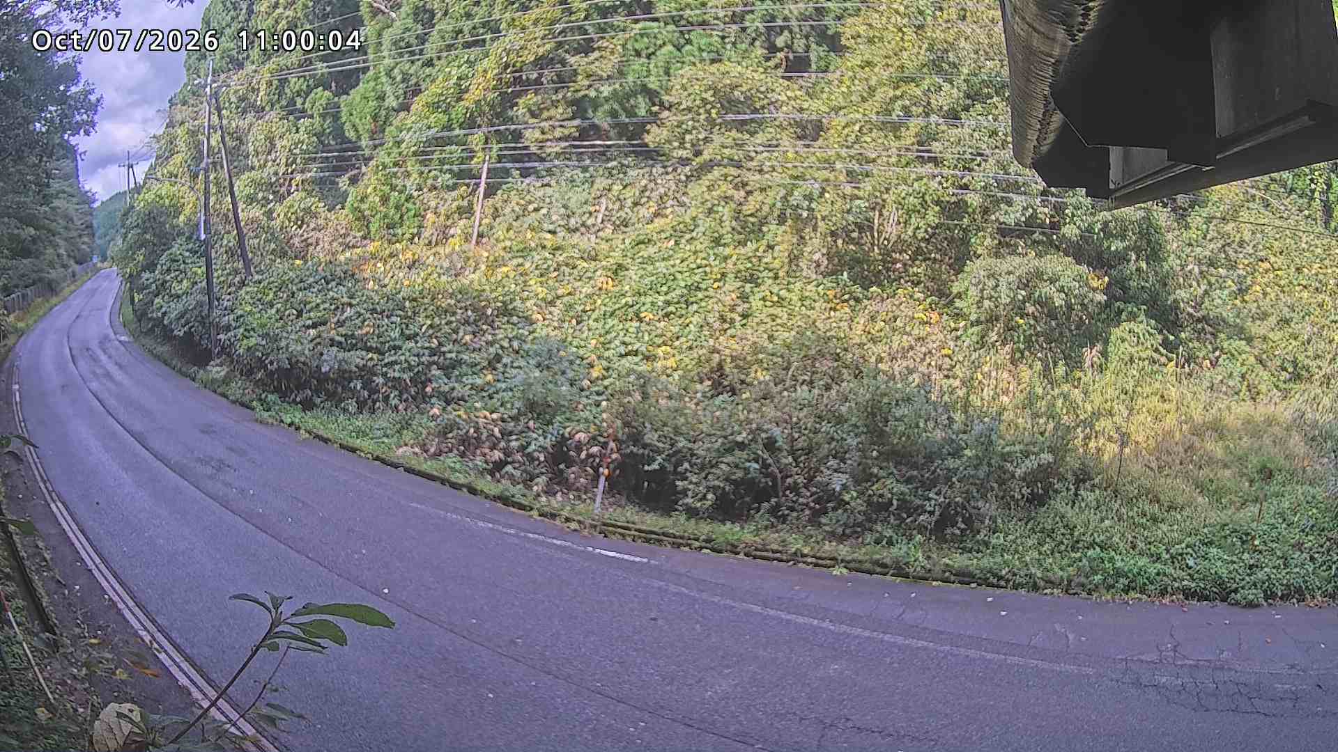 南部町大木屋