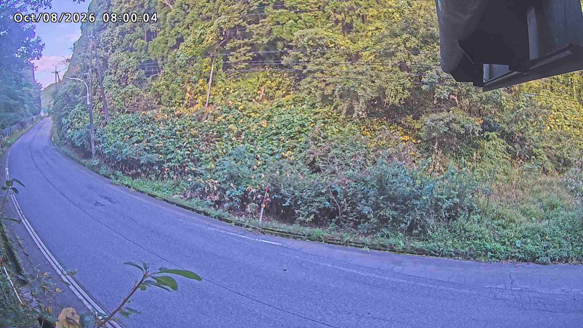 南部町大木屋