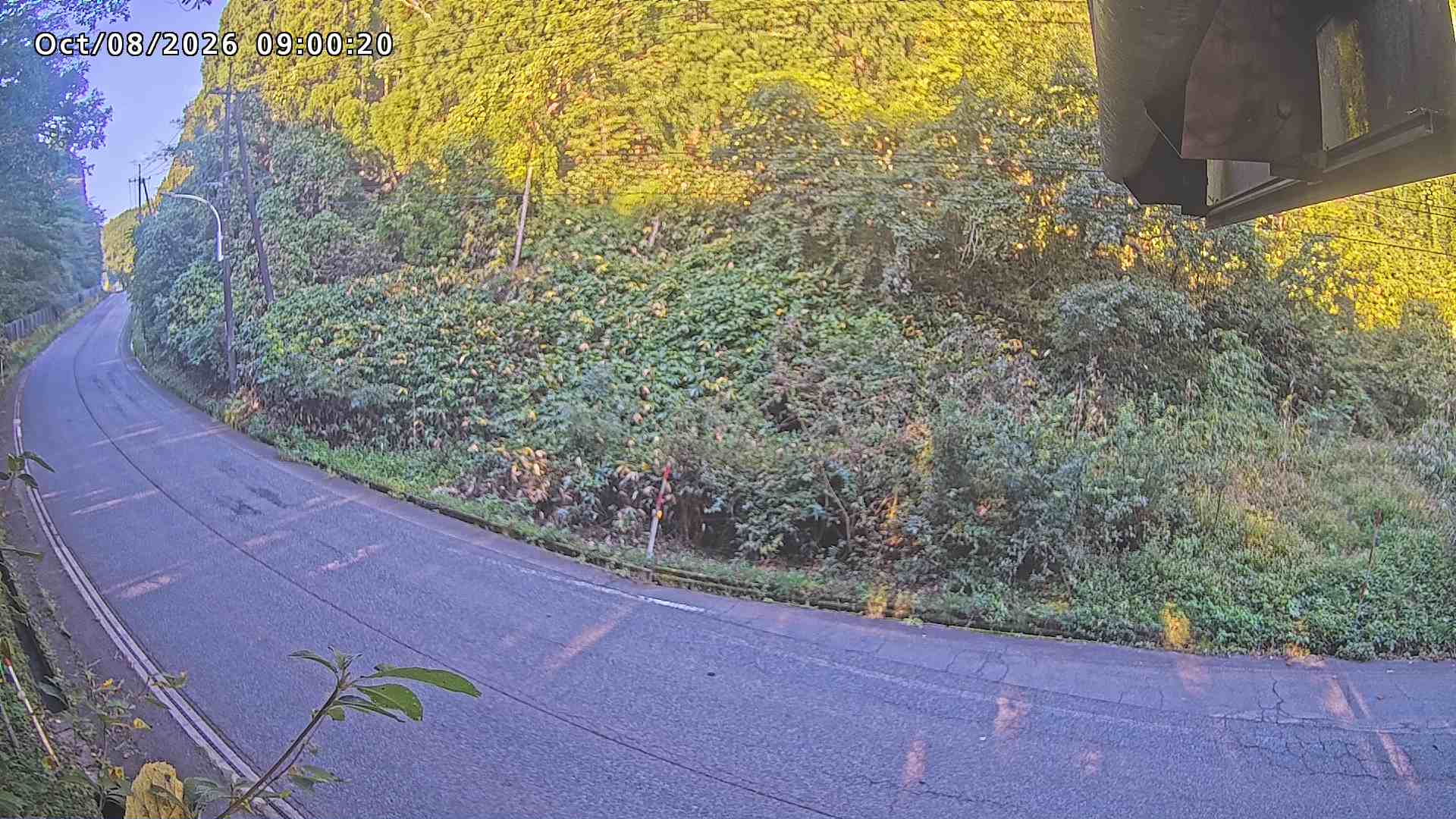 南部町大木屋