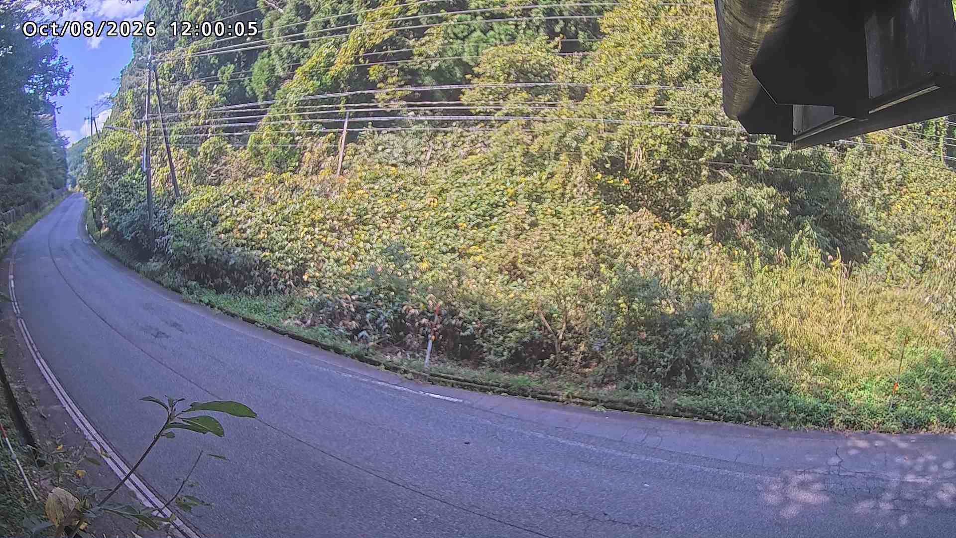 南部町大木屋