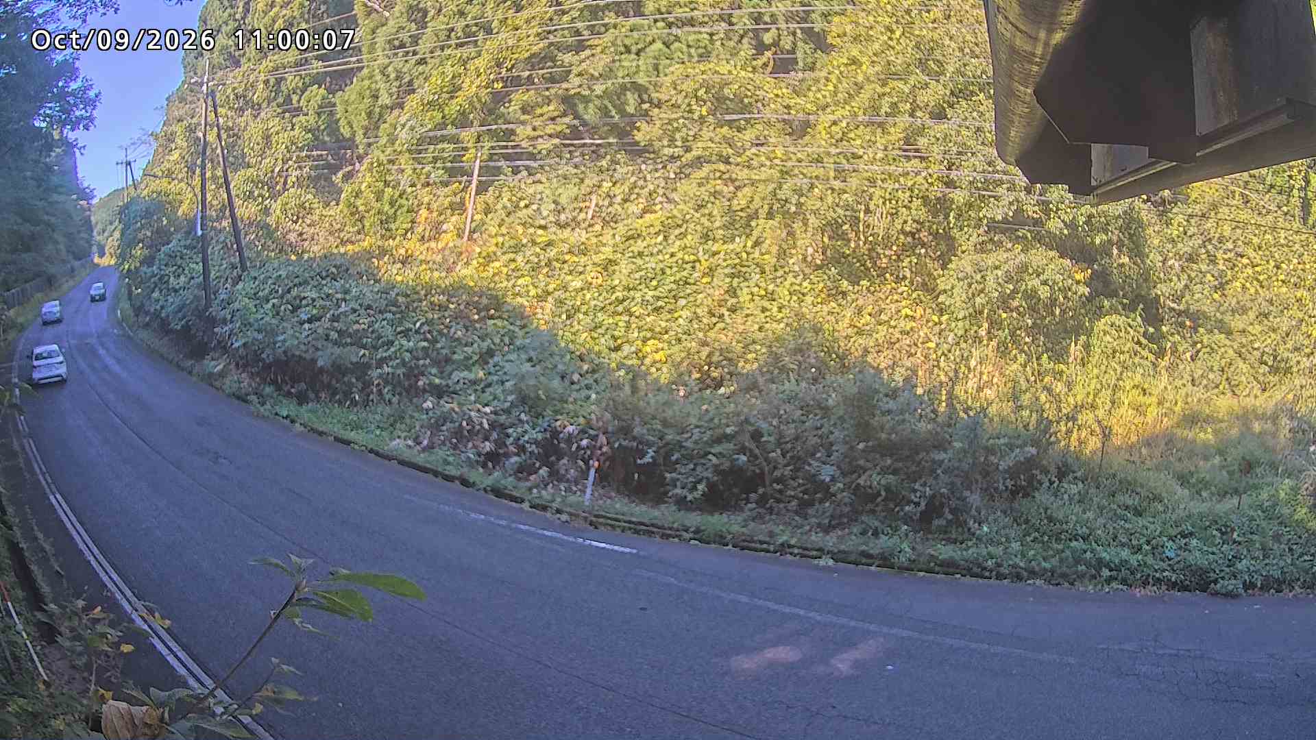 南部町大木屋