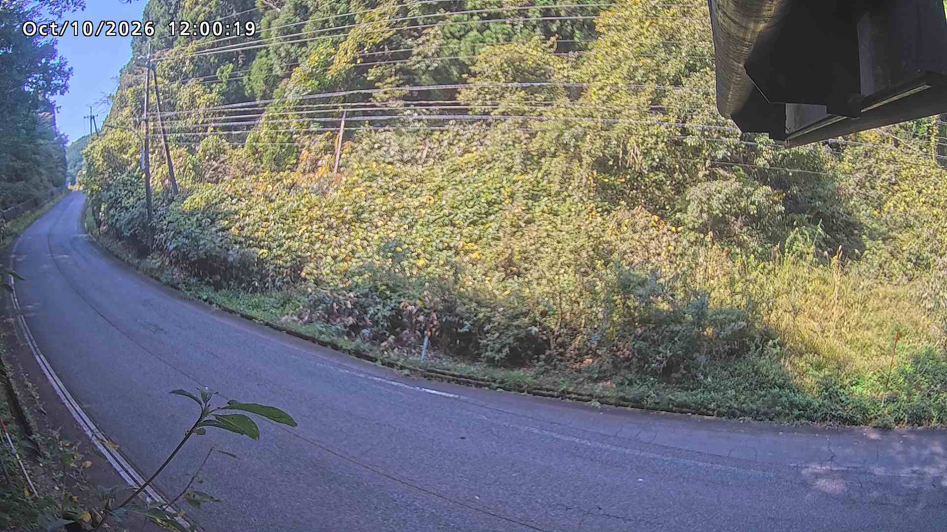 南部町大木屋