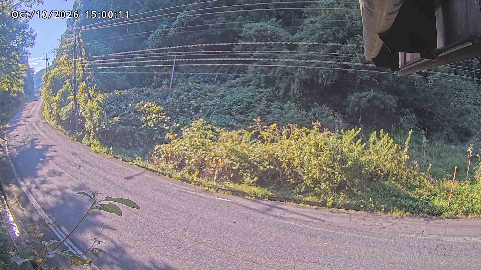 南部町大木屋