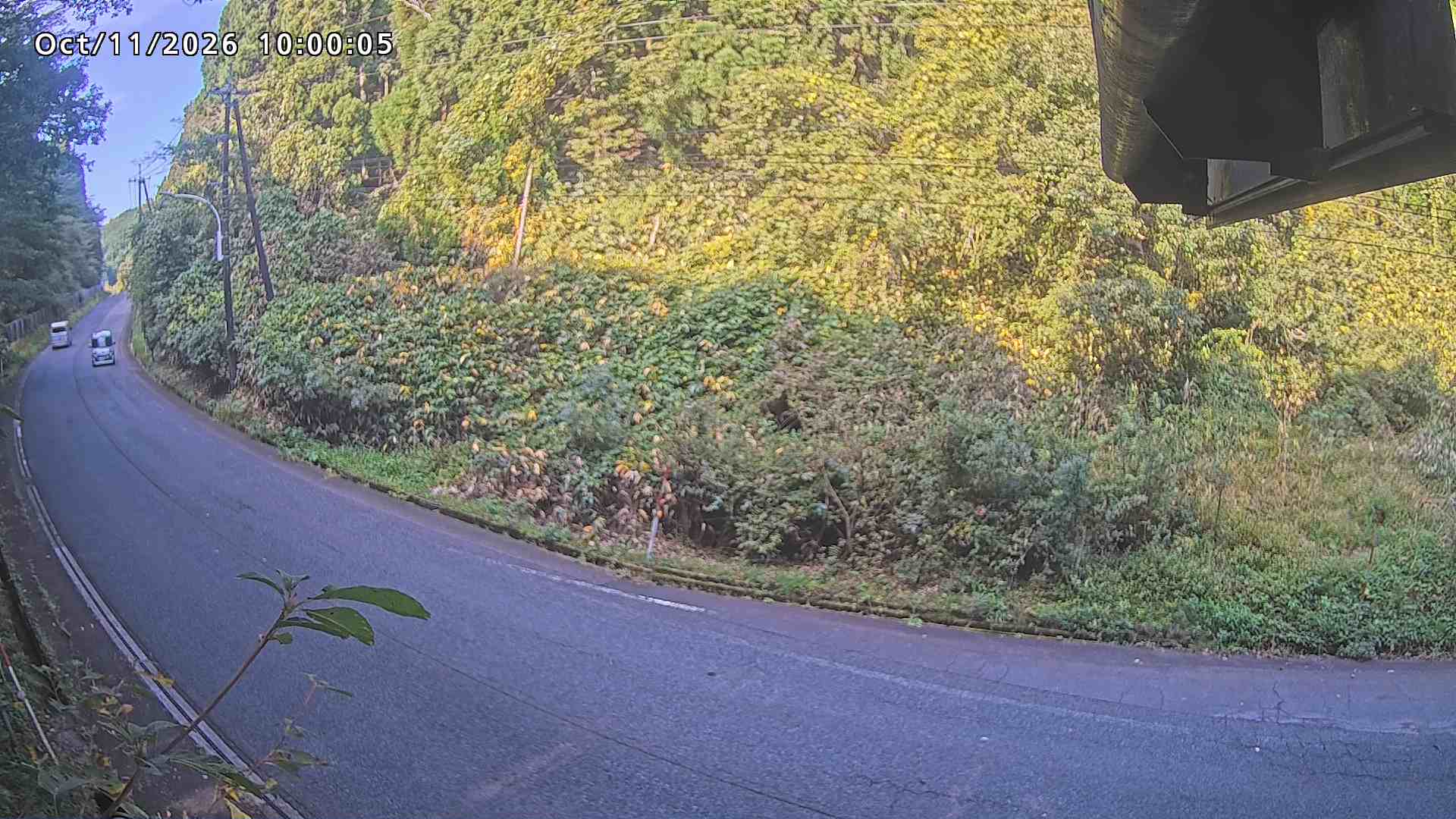 南部町大木屋