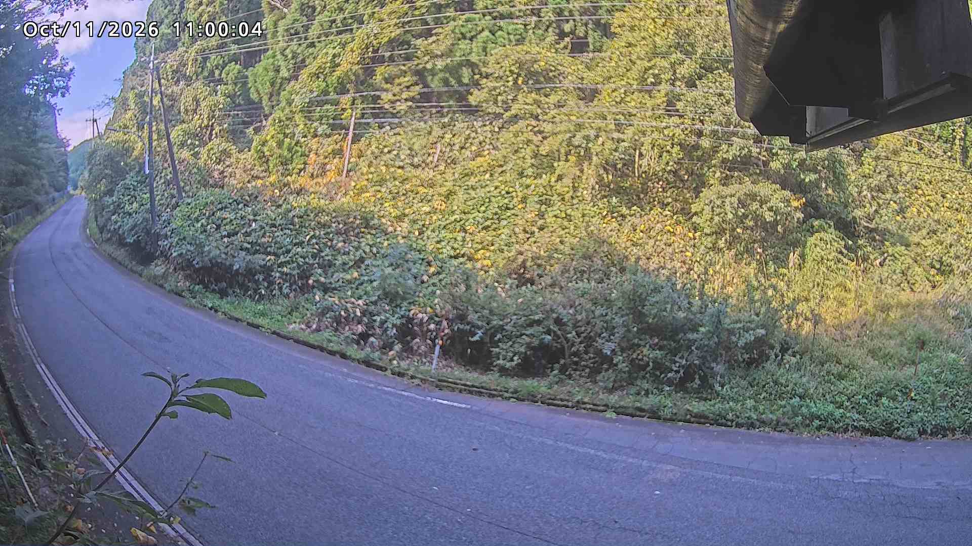 南部町大木屋