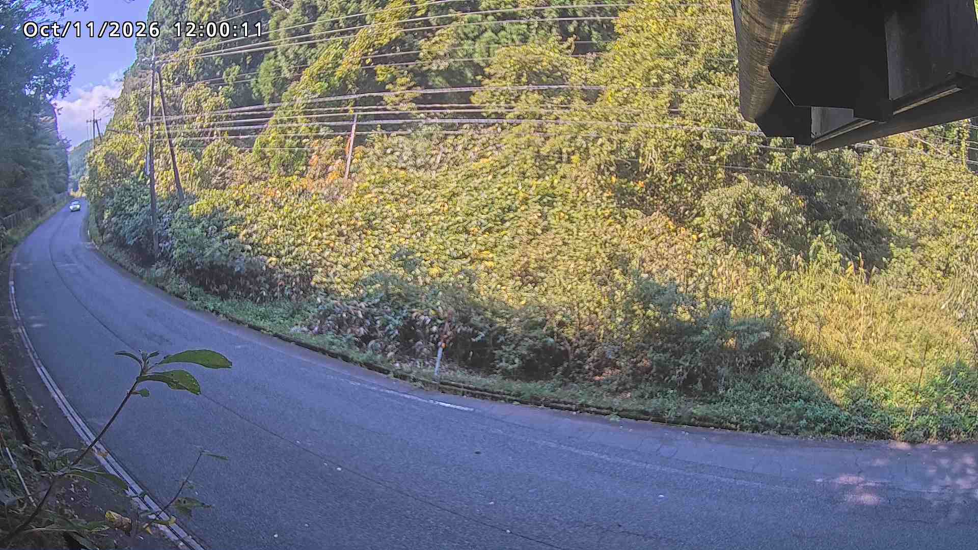 南部町大木屋